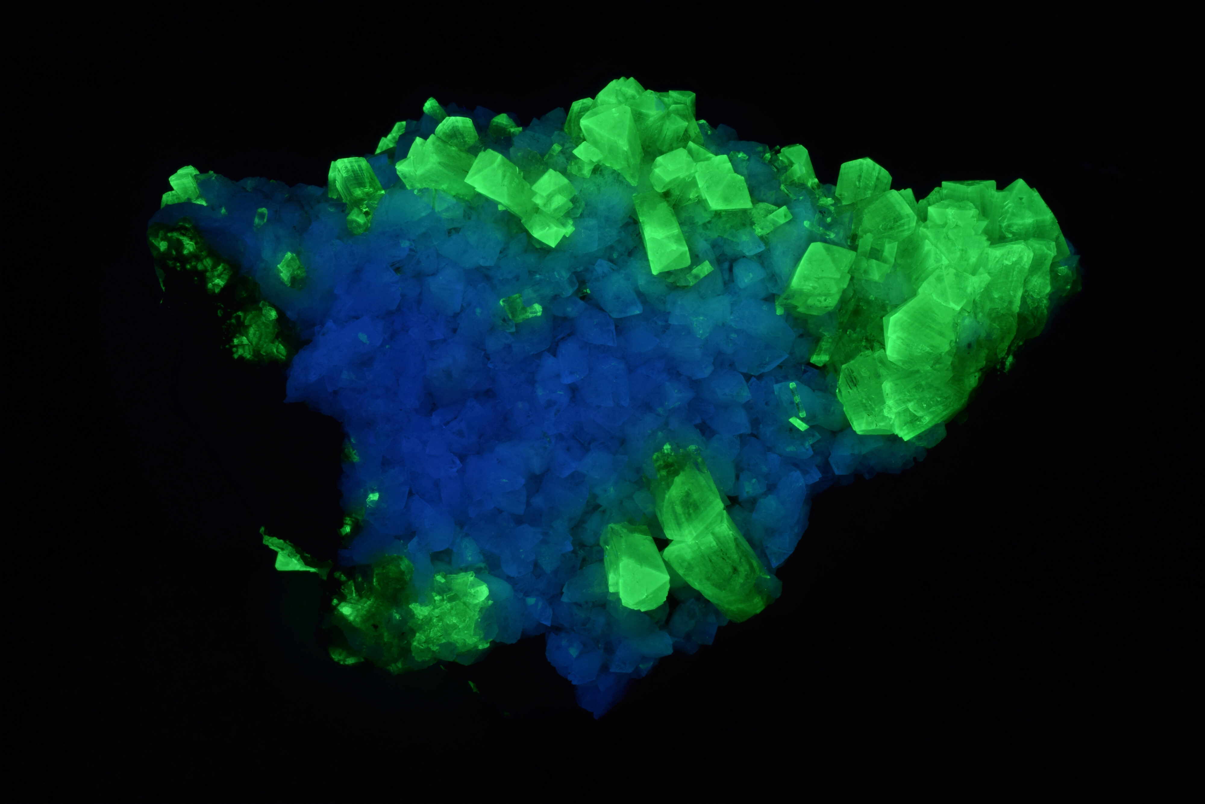 Fluorescence under shortwave UV light.