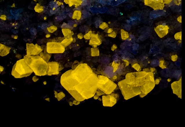 Fluorescence under shortwave UV light.