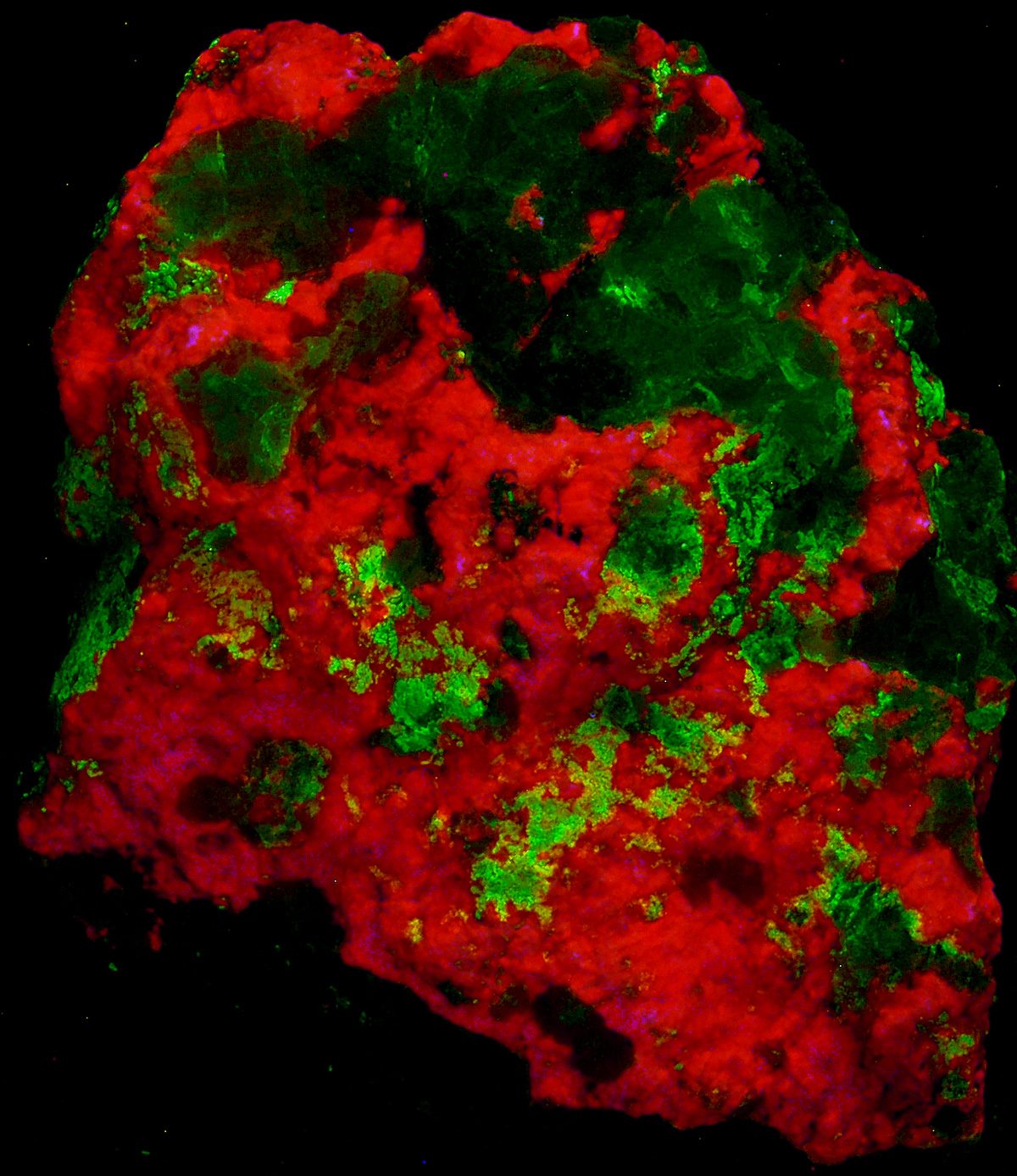 Fluorescence under shortwave UV light.
