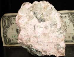 Normal light. Specimen size image compared to a US dollar bill.