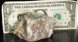 Normal light. Specimen size image compared to a US dollar bill.