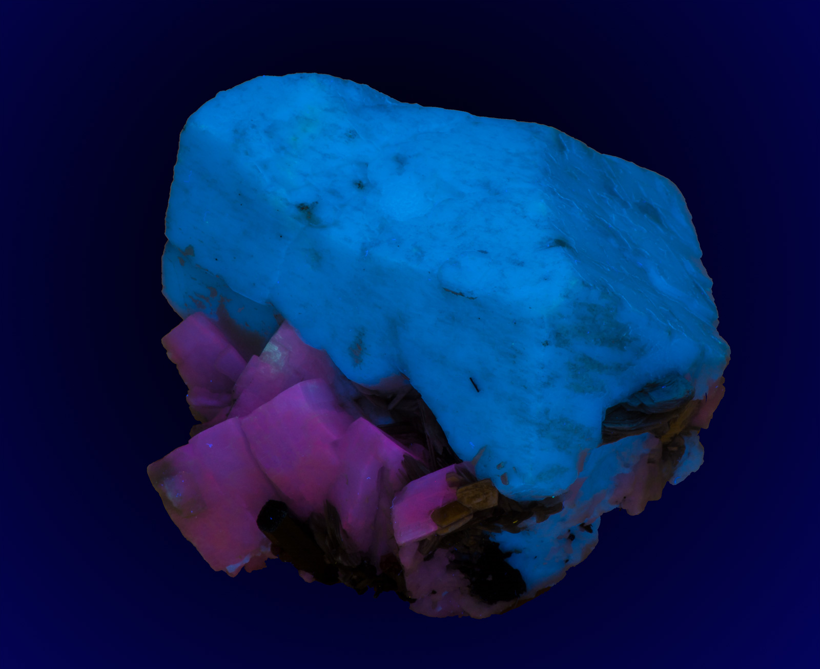Fluorescence under shortwave UV light.