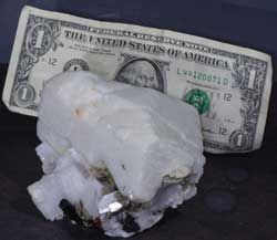 Normal light. Specimen size image compared to a US dollar bill.