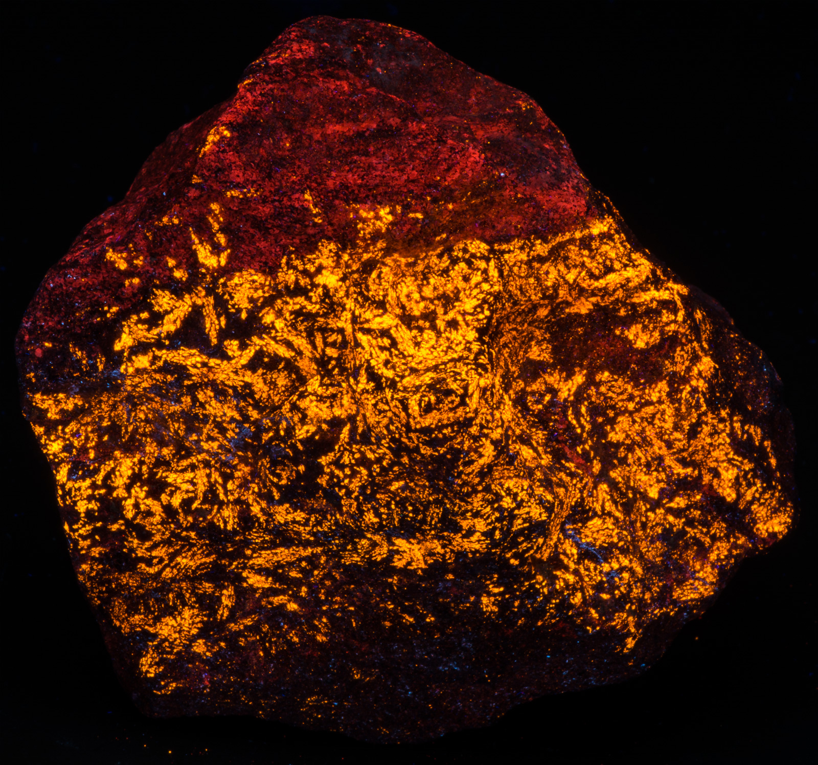 Fluorescence under shortwave UV light.
