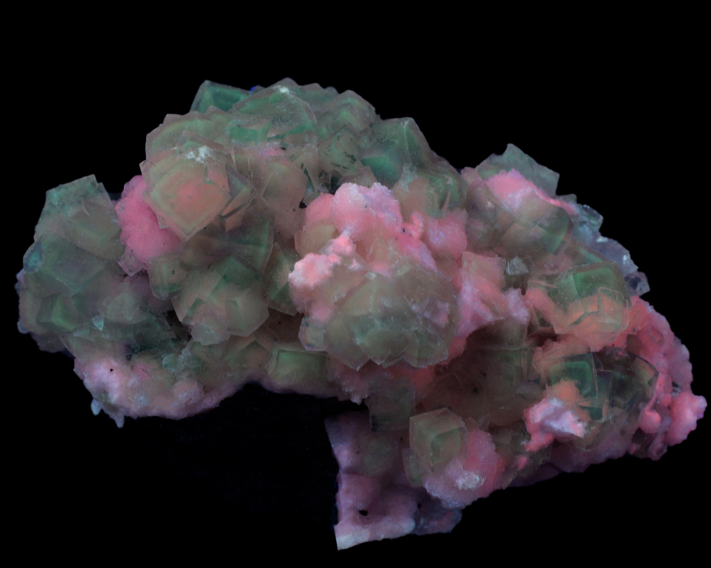 Fluorescence under shortwave UV light.