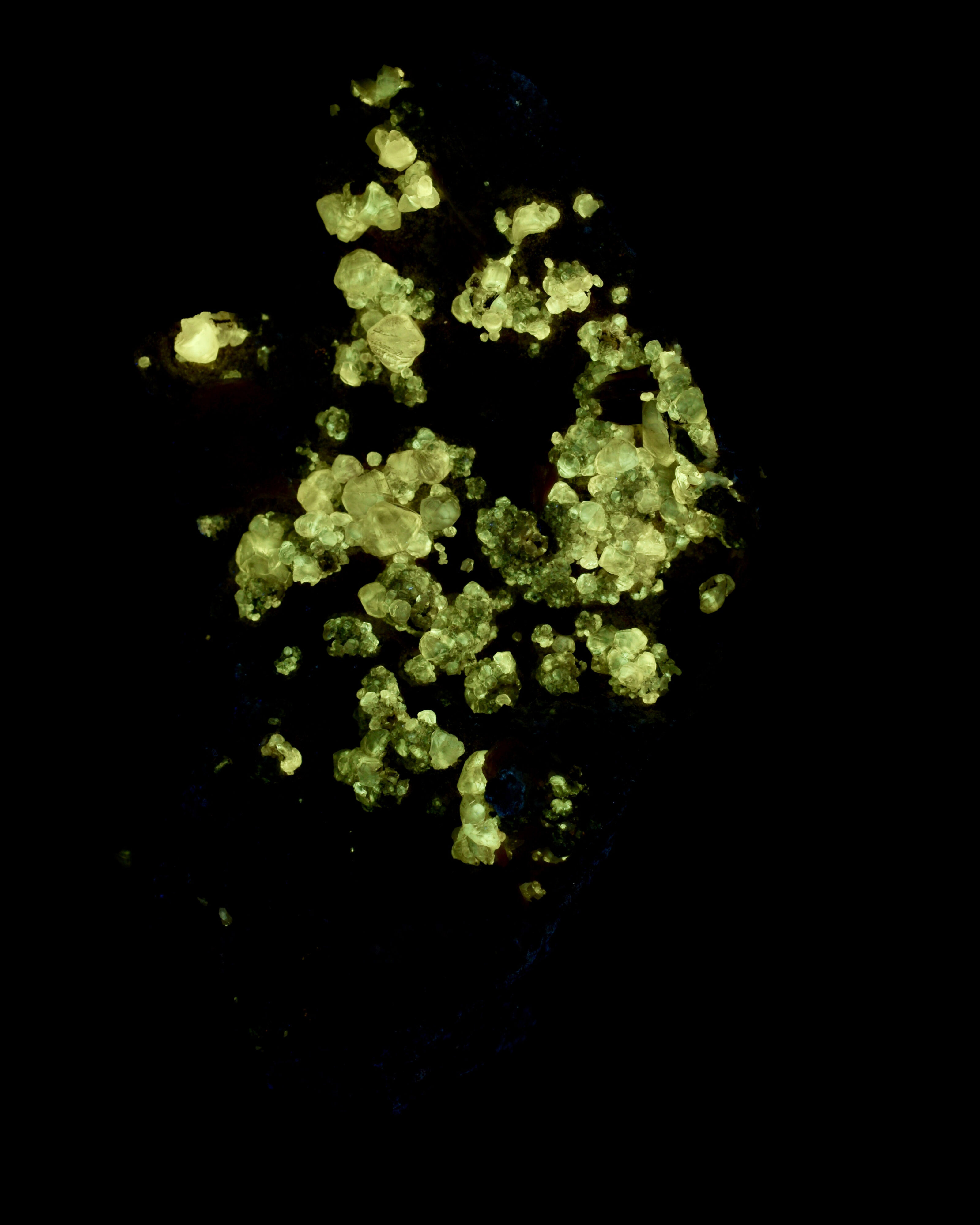 Fluorescence under midwave UV light.