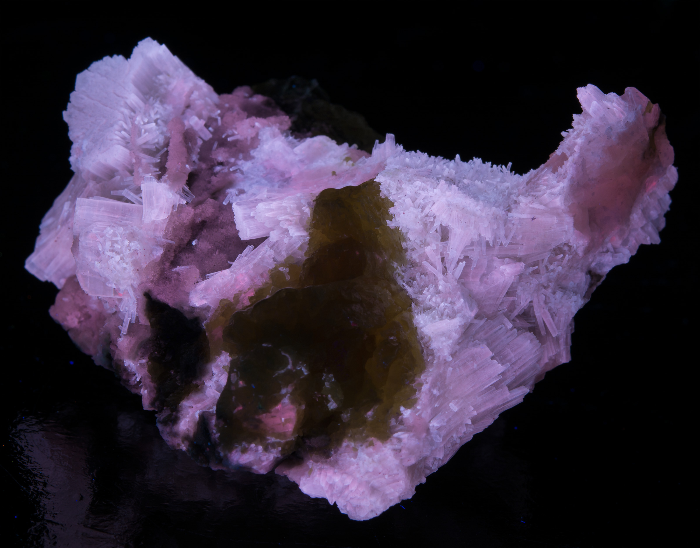 Fluorescence under shortwave UV light.