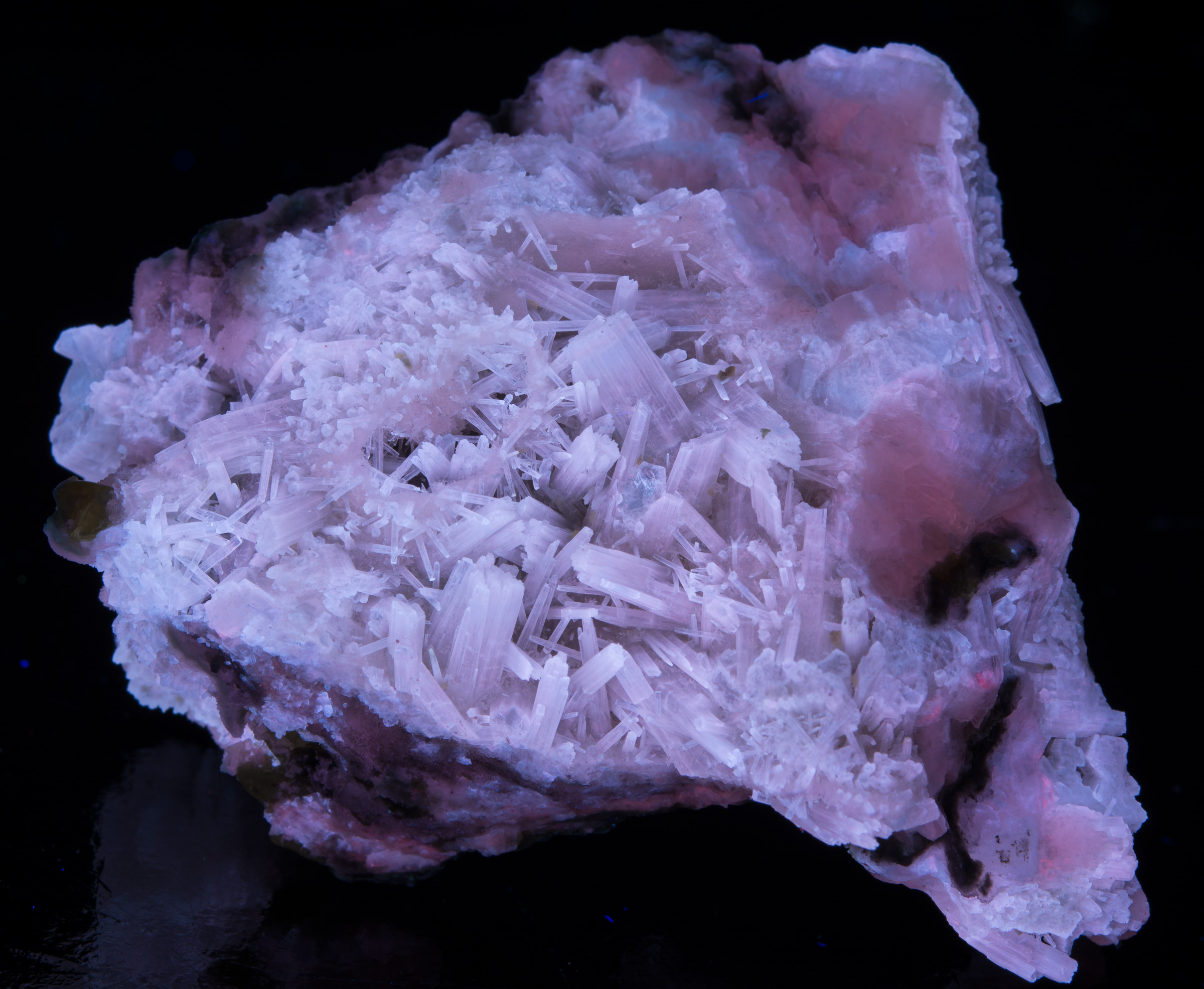 Fluorescence under shortwave UV light. Side 2