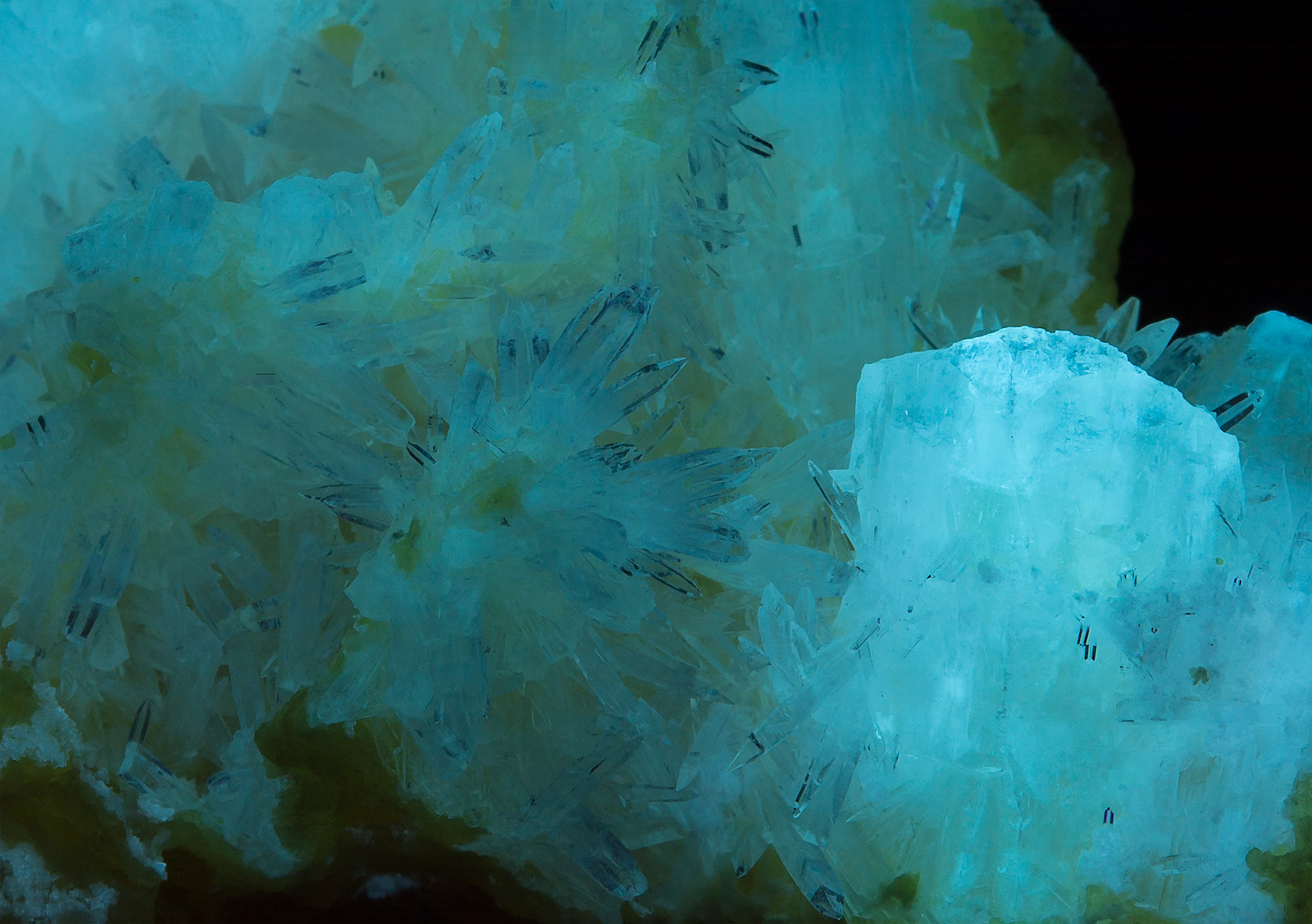 Fluorescence under shortwave UV light. Closeup