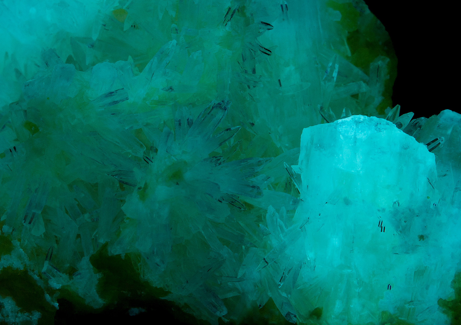 Afterglow after exposure to shortwave UV light. Closeup