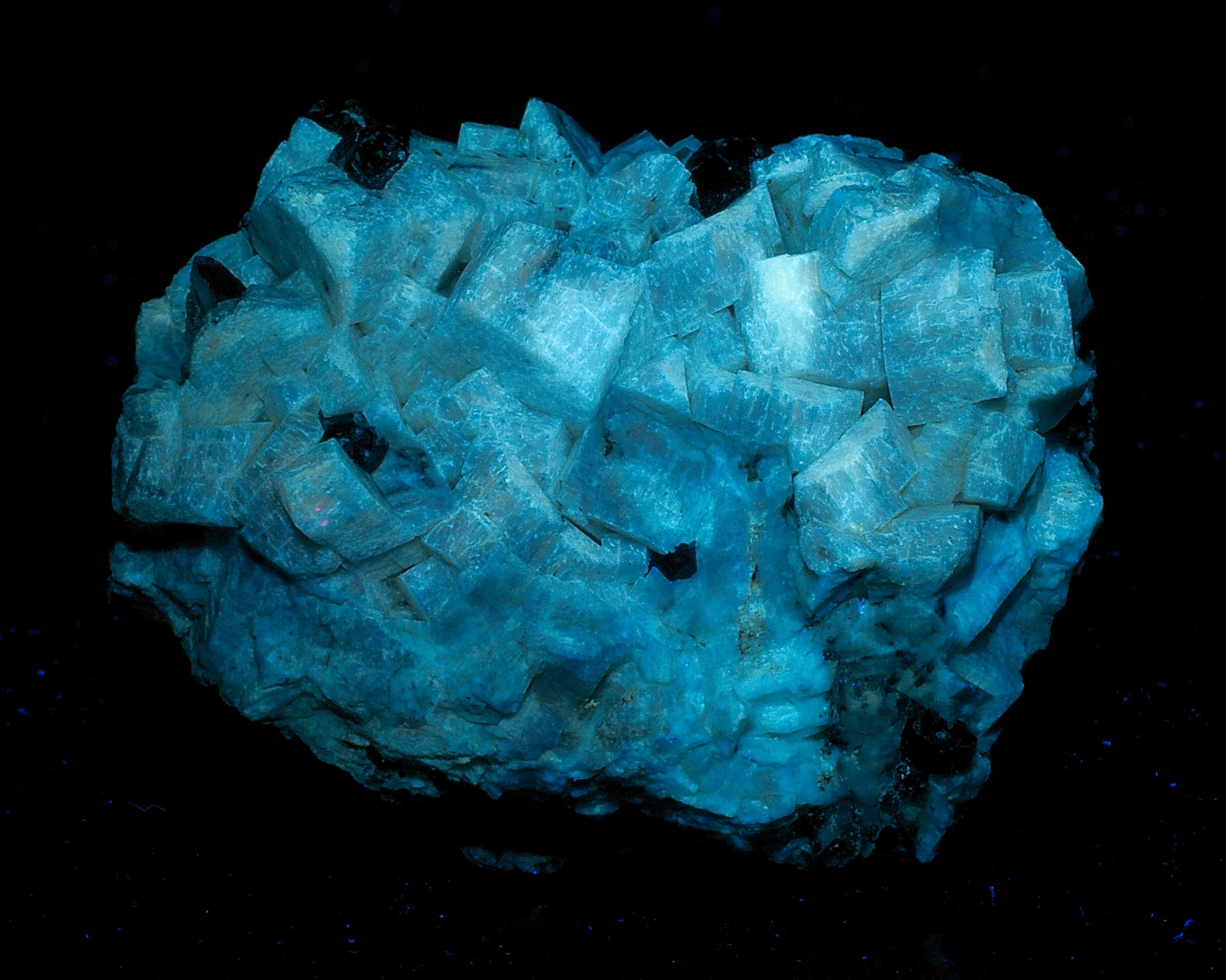 Fluorescence under longwave UV light.