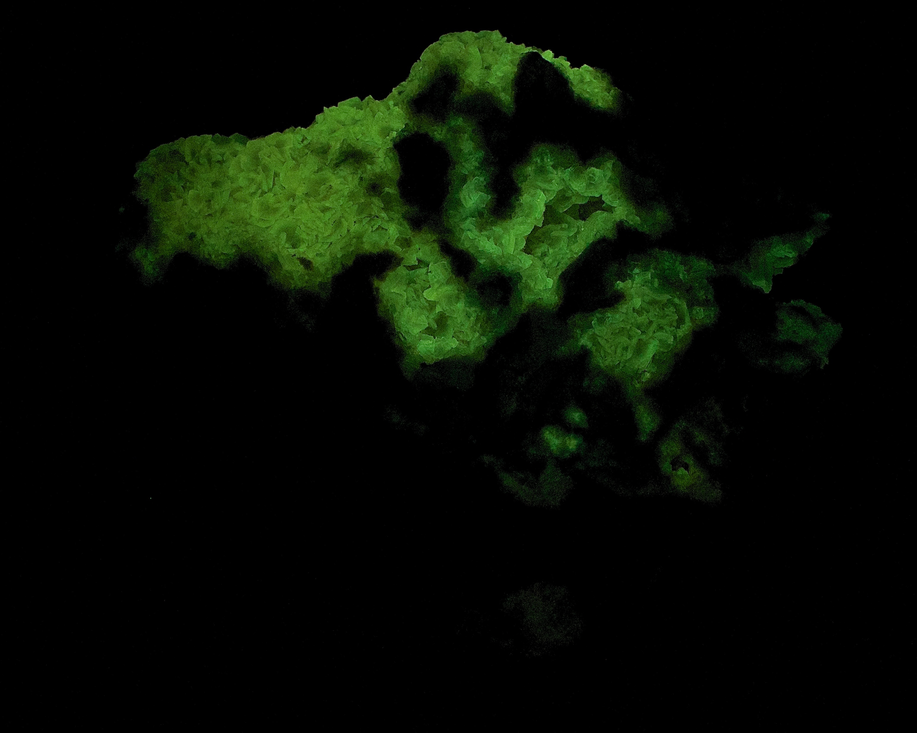 Afterglow after exposure to longwave UV light.