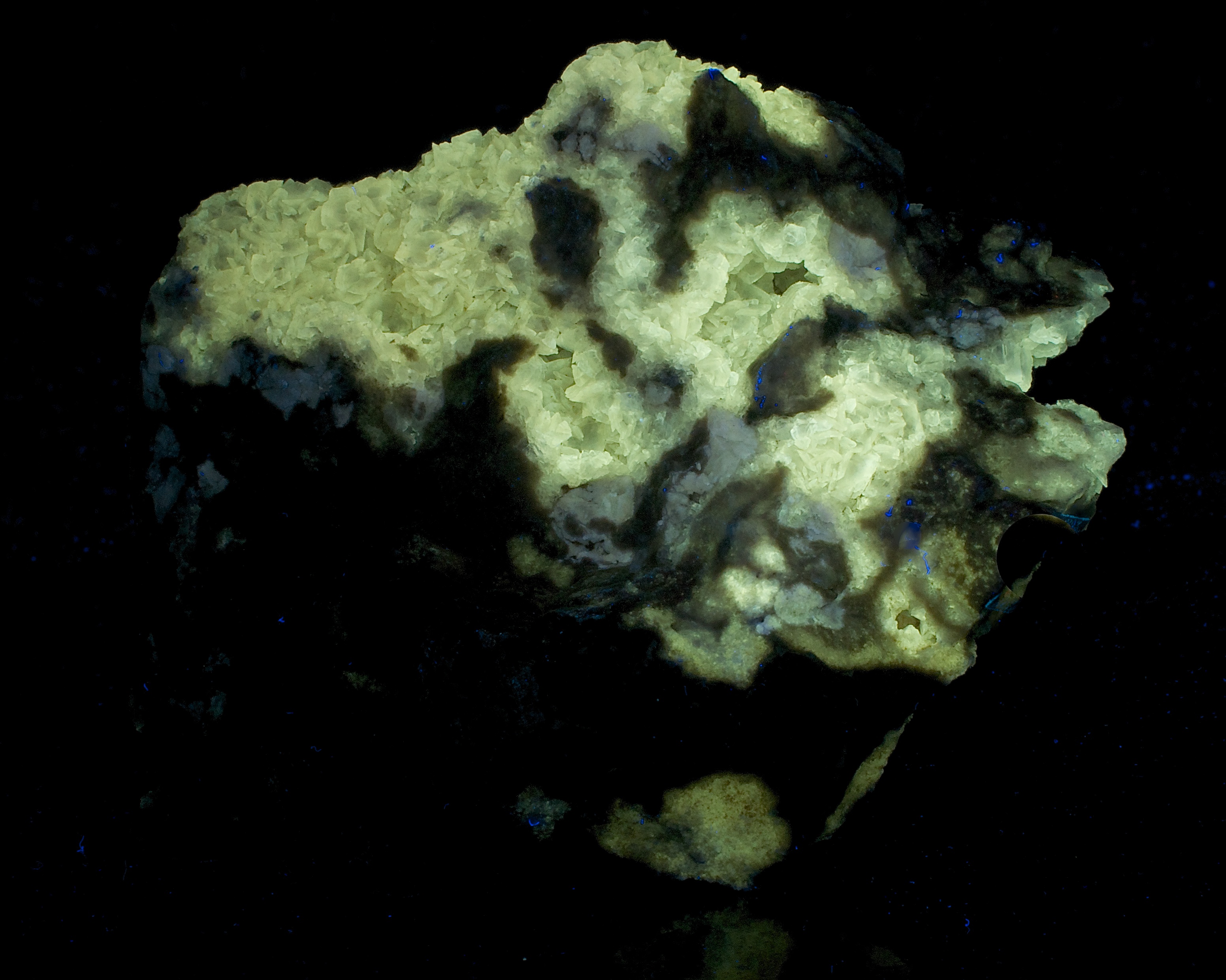 Fluorescence under shortwave UV light.