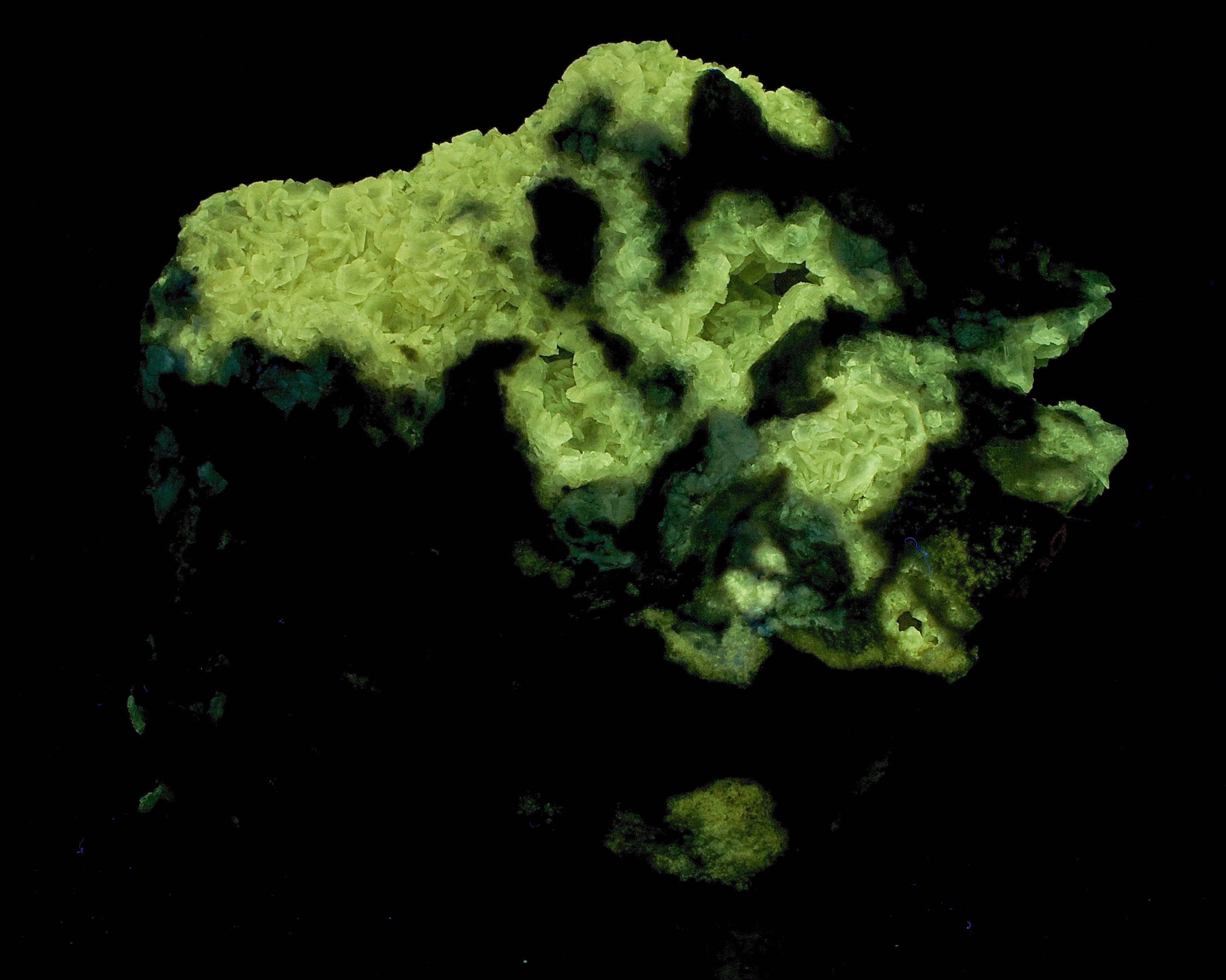 Fluorescence under midwave UV light.