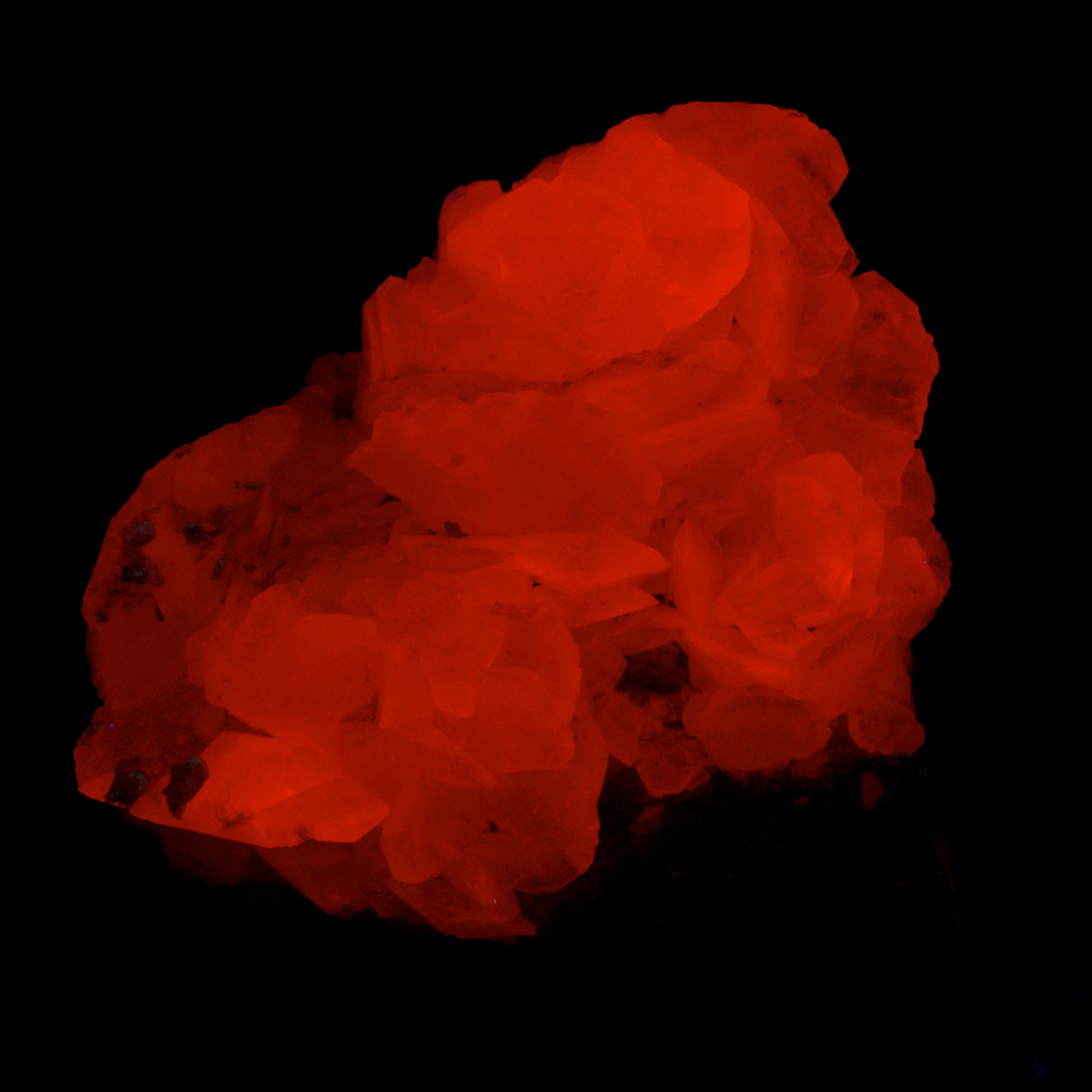 Fluorescence under shortwave UV light.