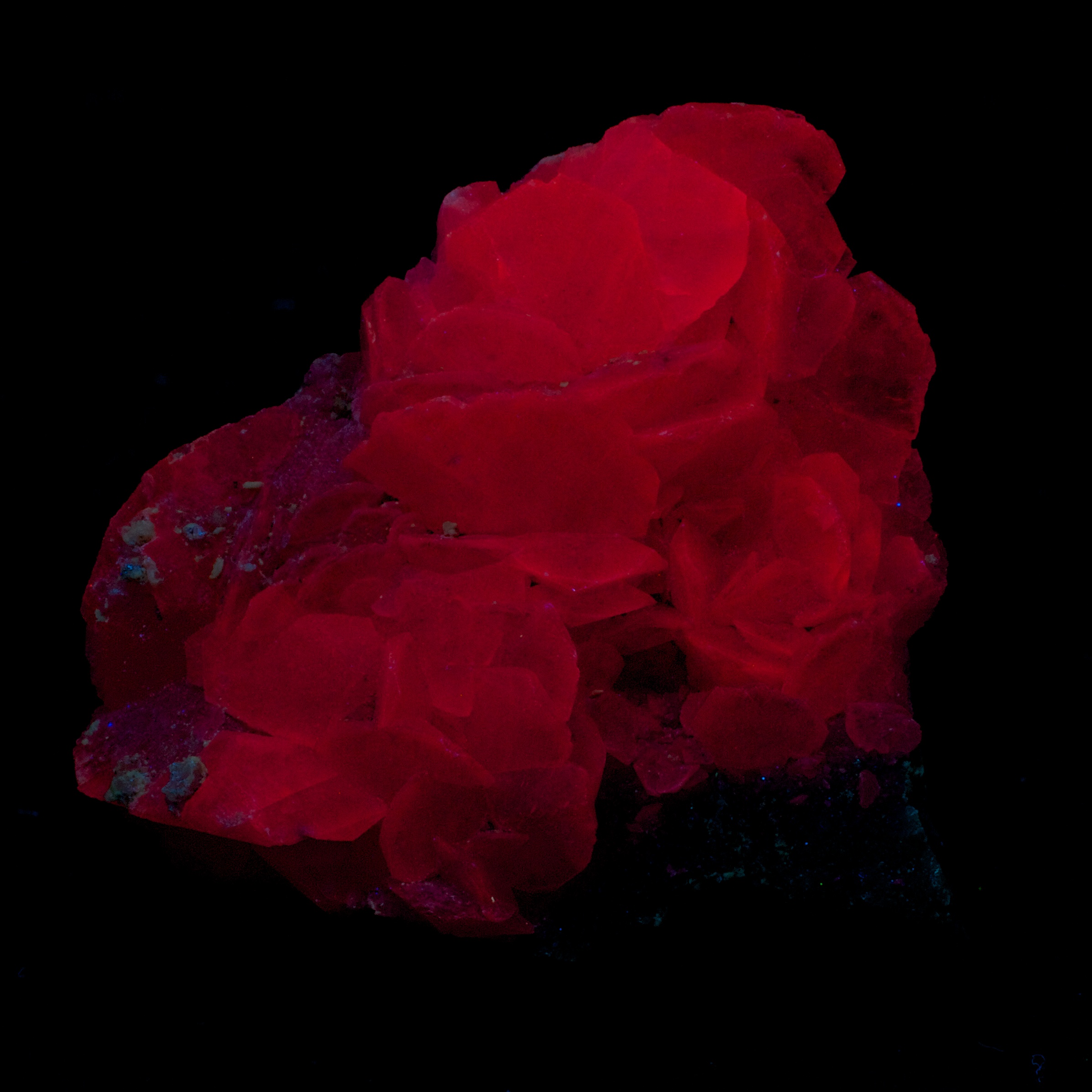 Fluorescence under midwave UV light.