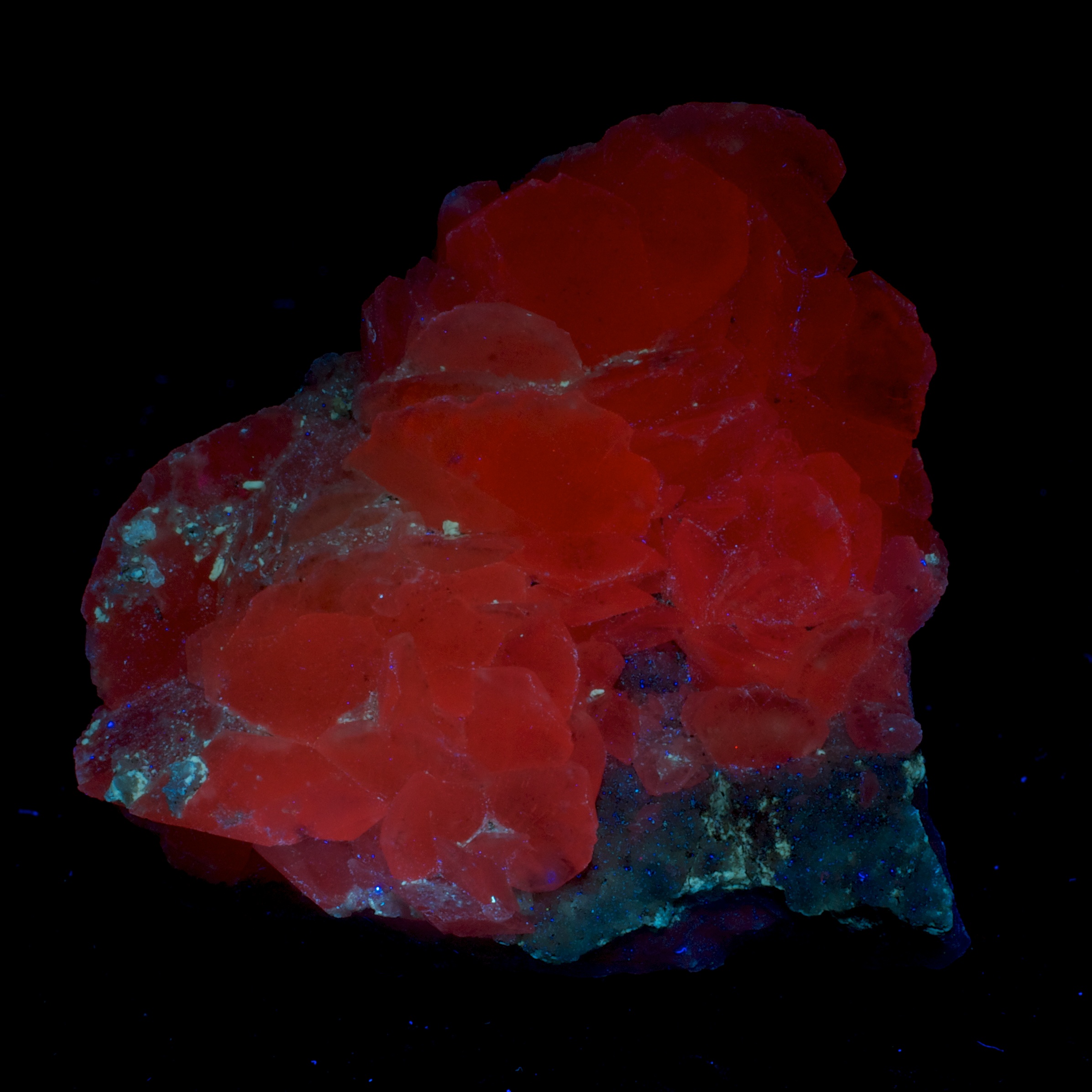 Fluorescence under longwave UV light.