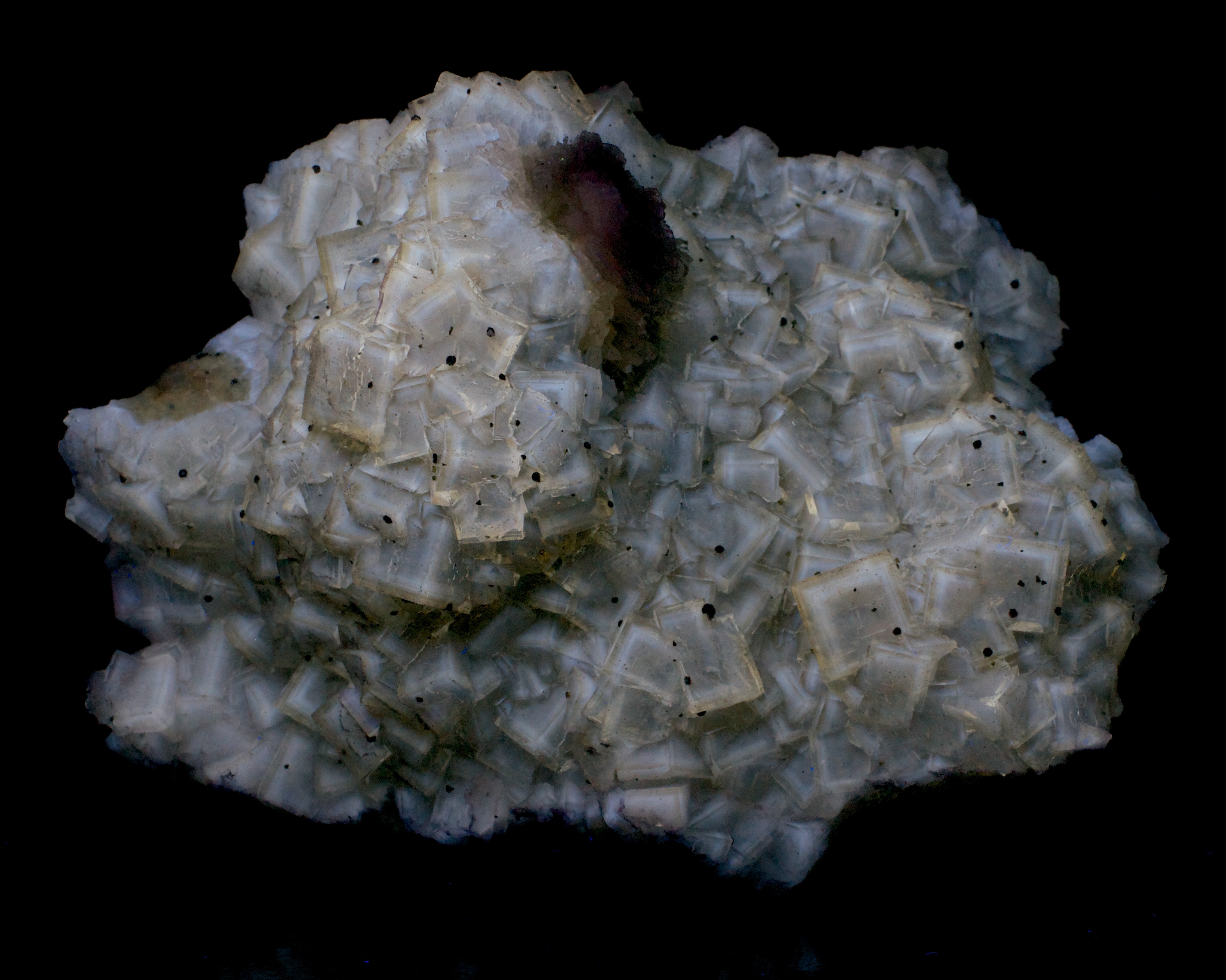 Fluorescence under midwave UV light.