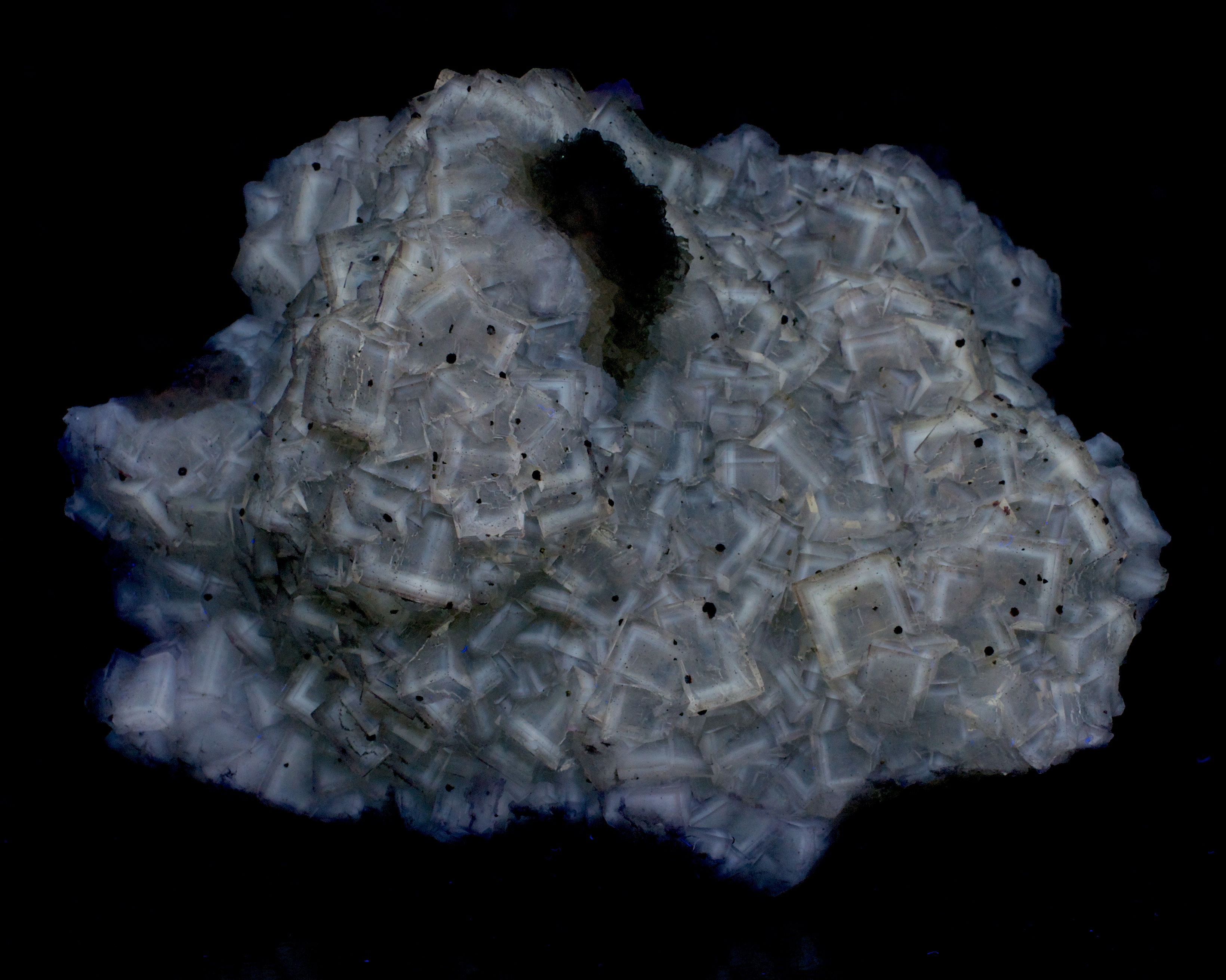 Fluorescence under shortwave UV light.