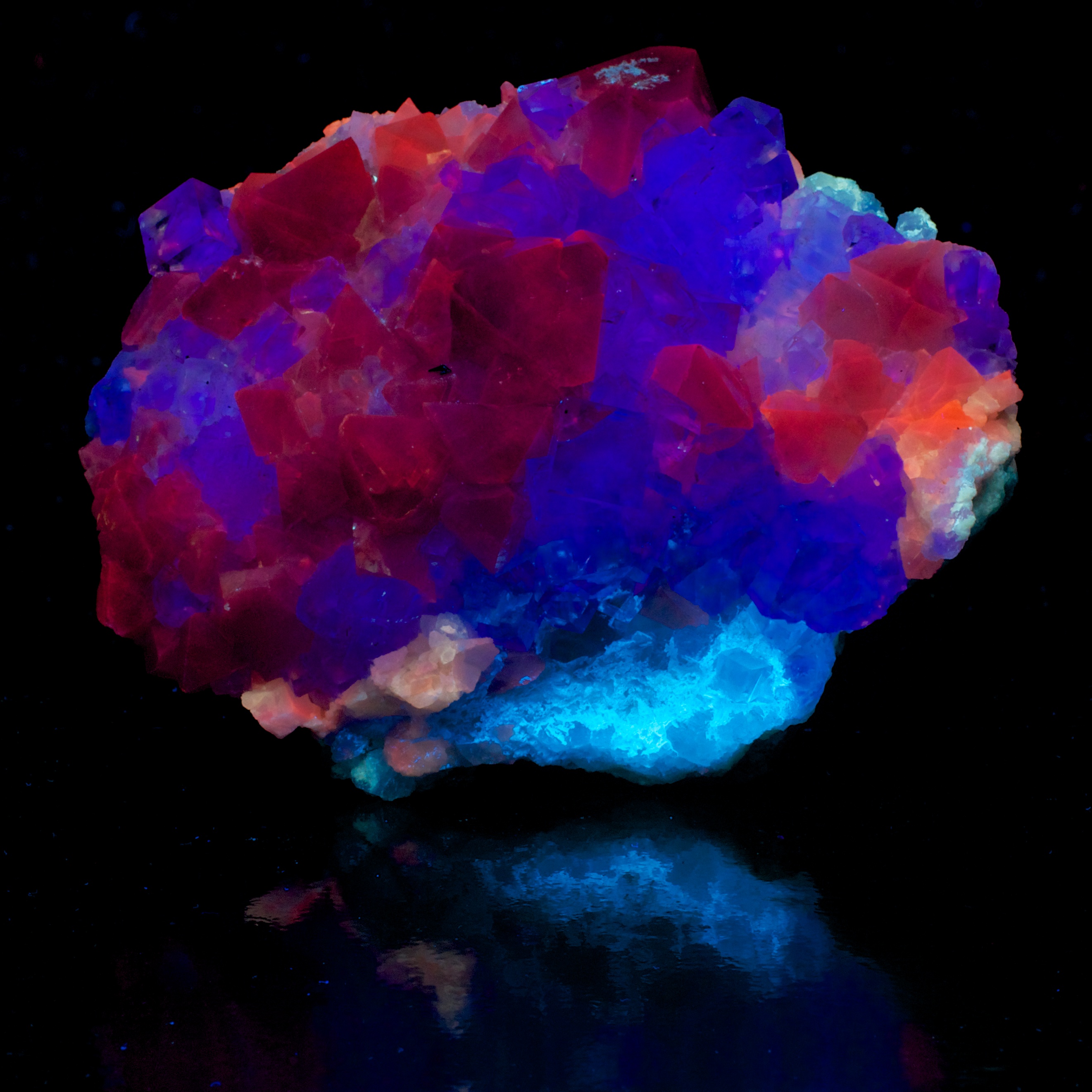 Fluorescence under midwave UV light.