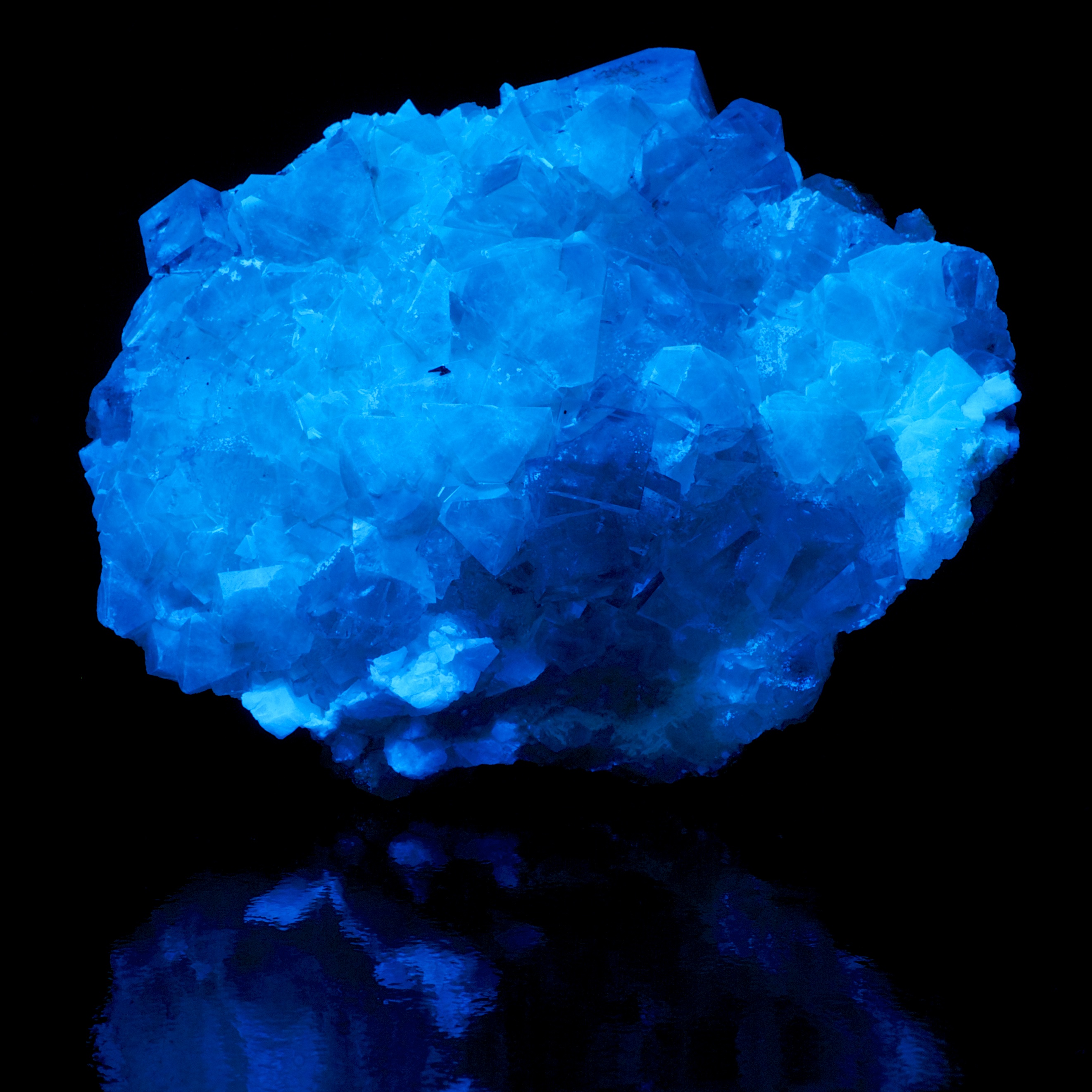 Fluorescence under shortwave UV light.