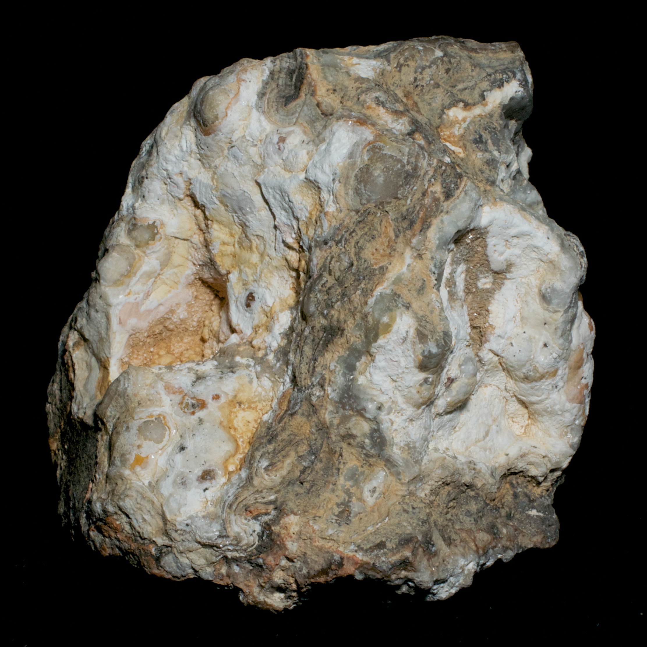 Normal light. Specimen 2.