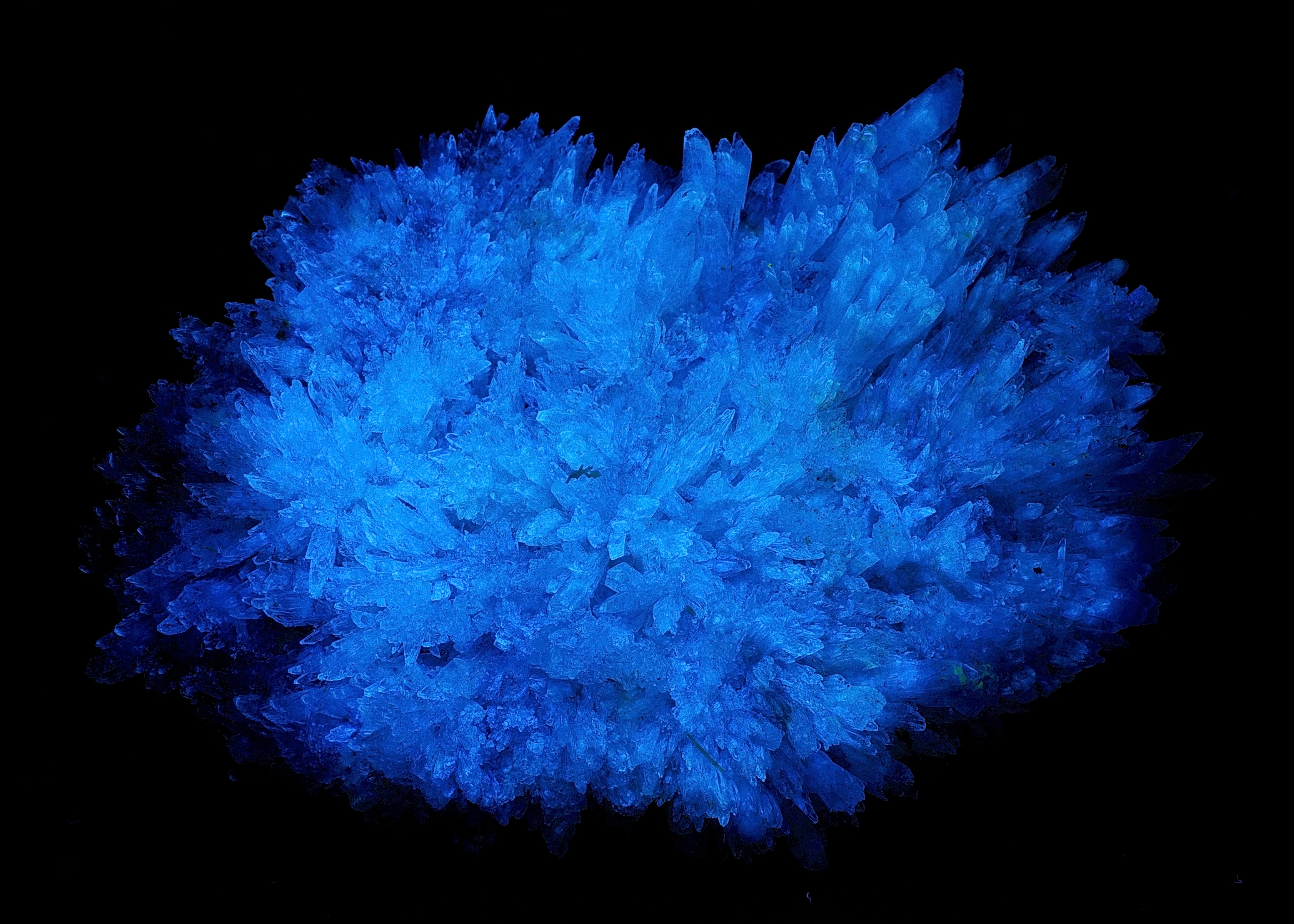 Fluorescence under midwave UV light.