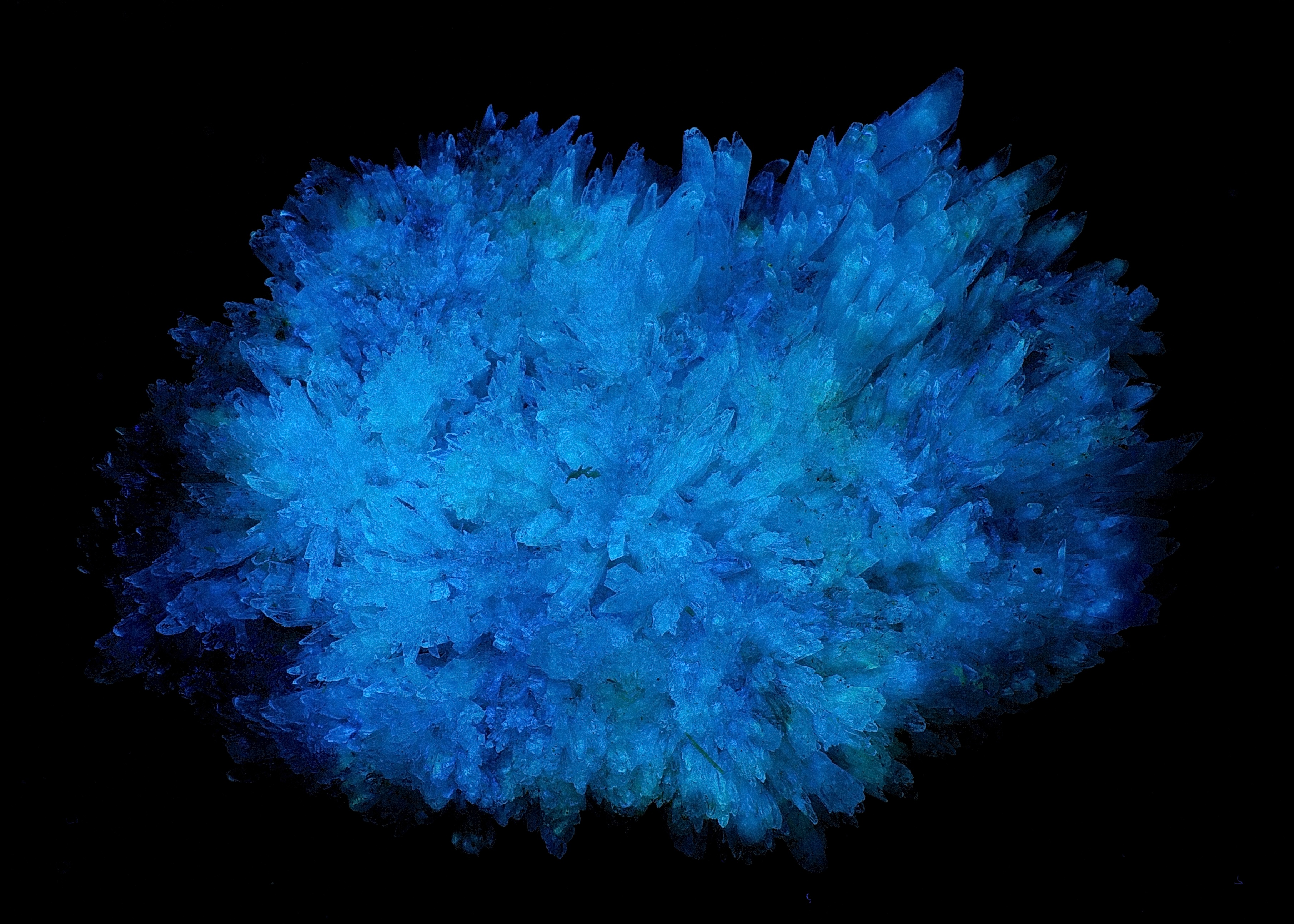 Fluorescence under shortwave UV light.