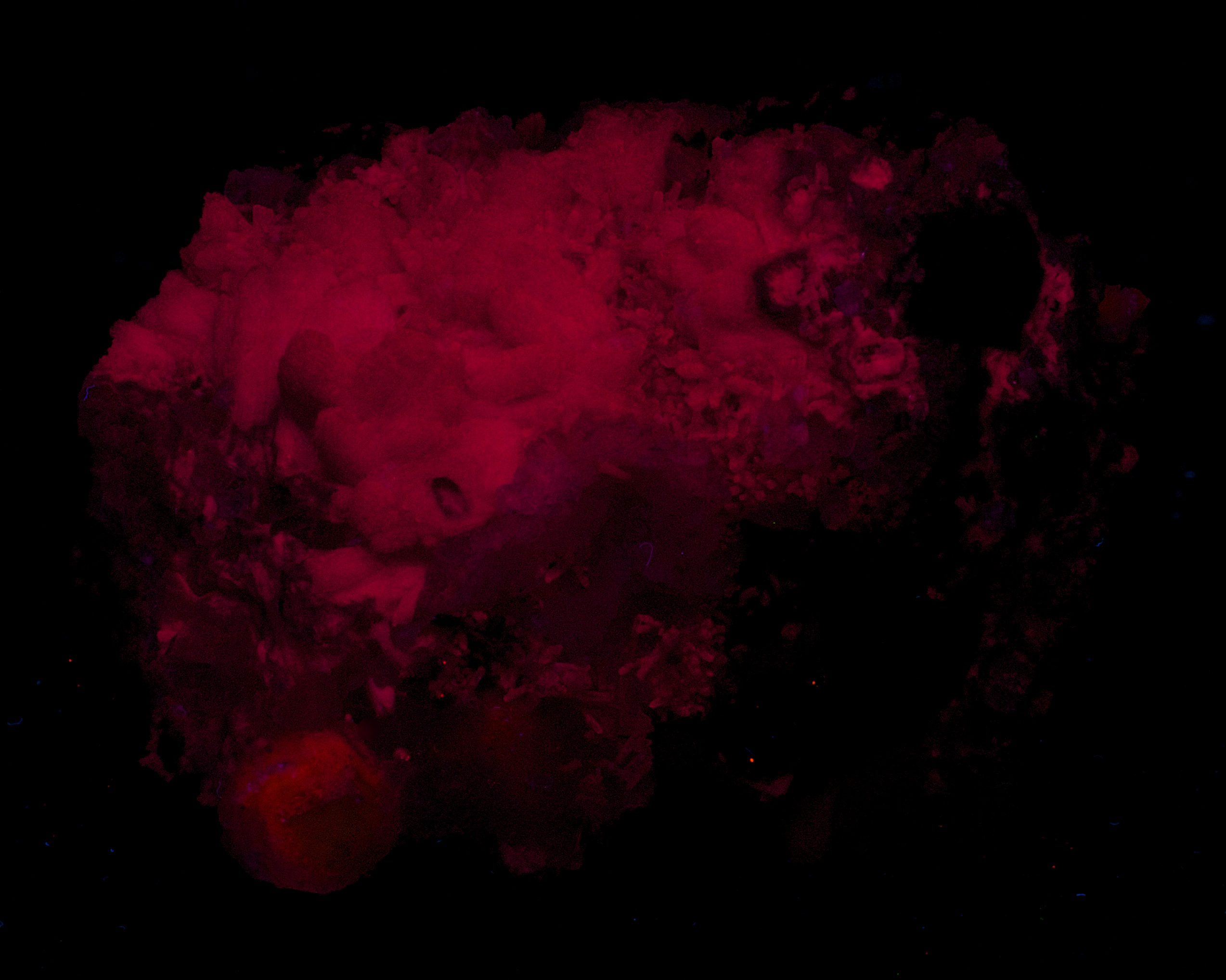 Fluorescence under shortwave UV light.