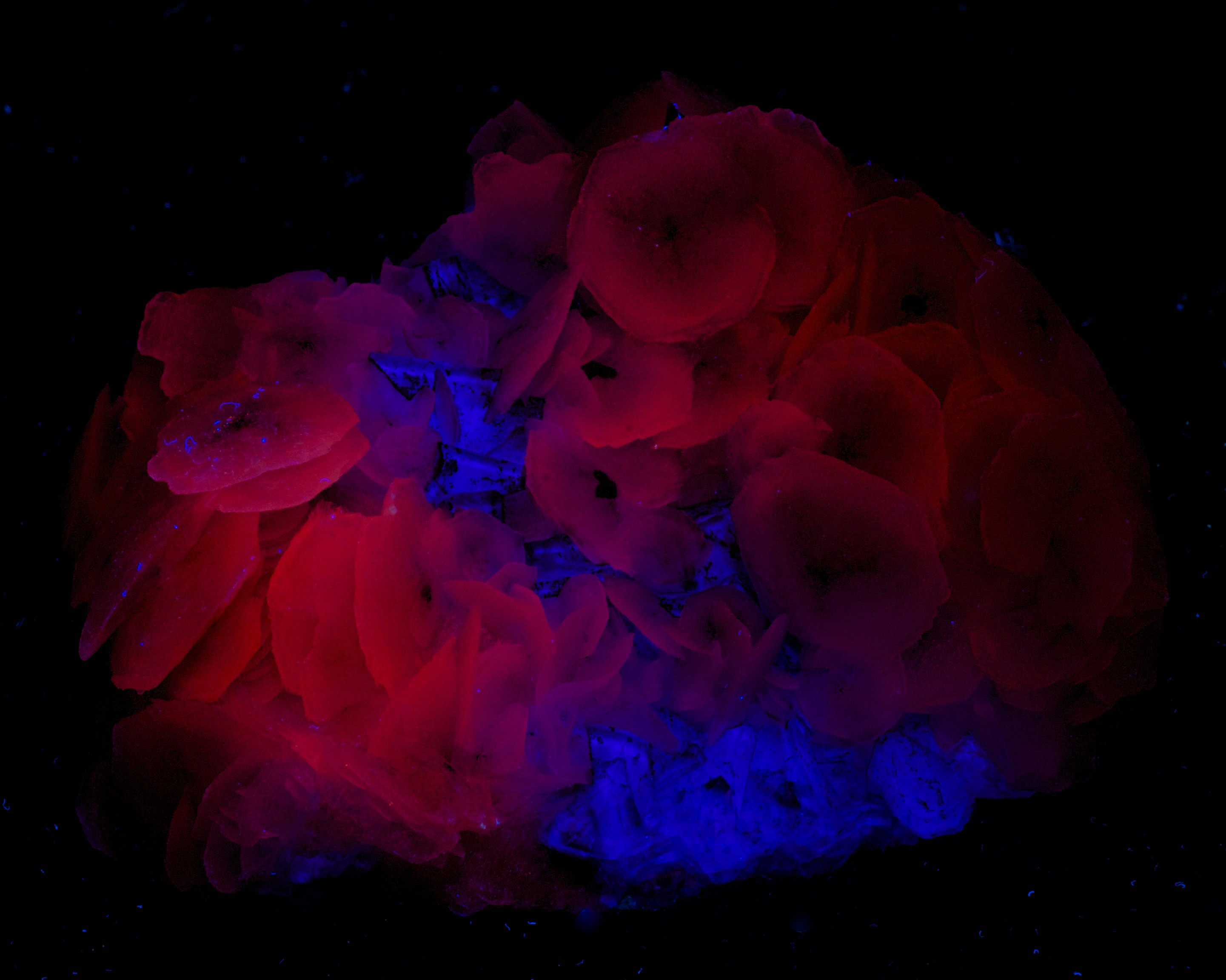Fluorescence under longwave UV light.