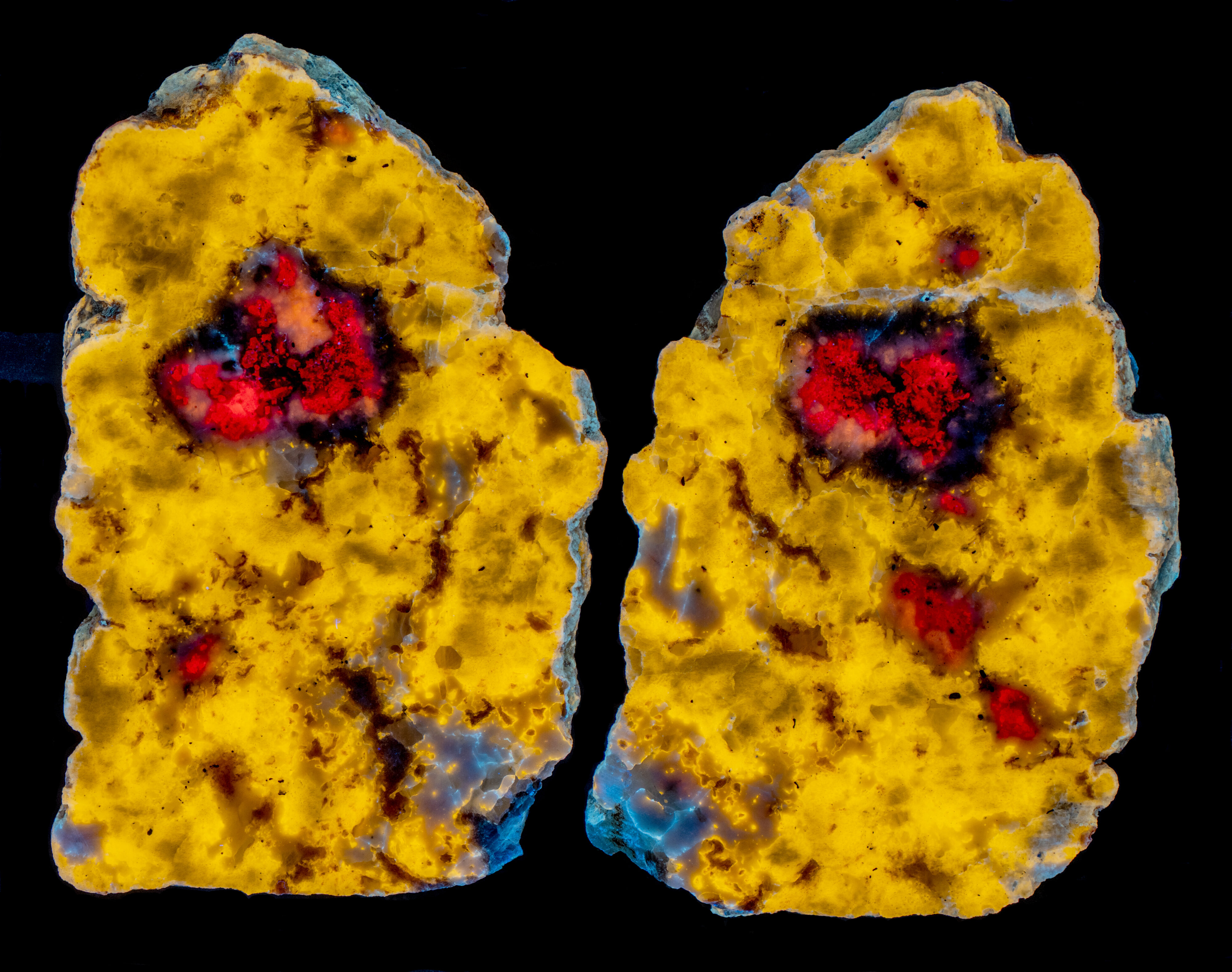 Fluorescence under longwave UV light.