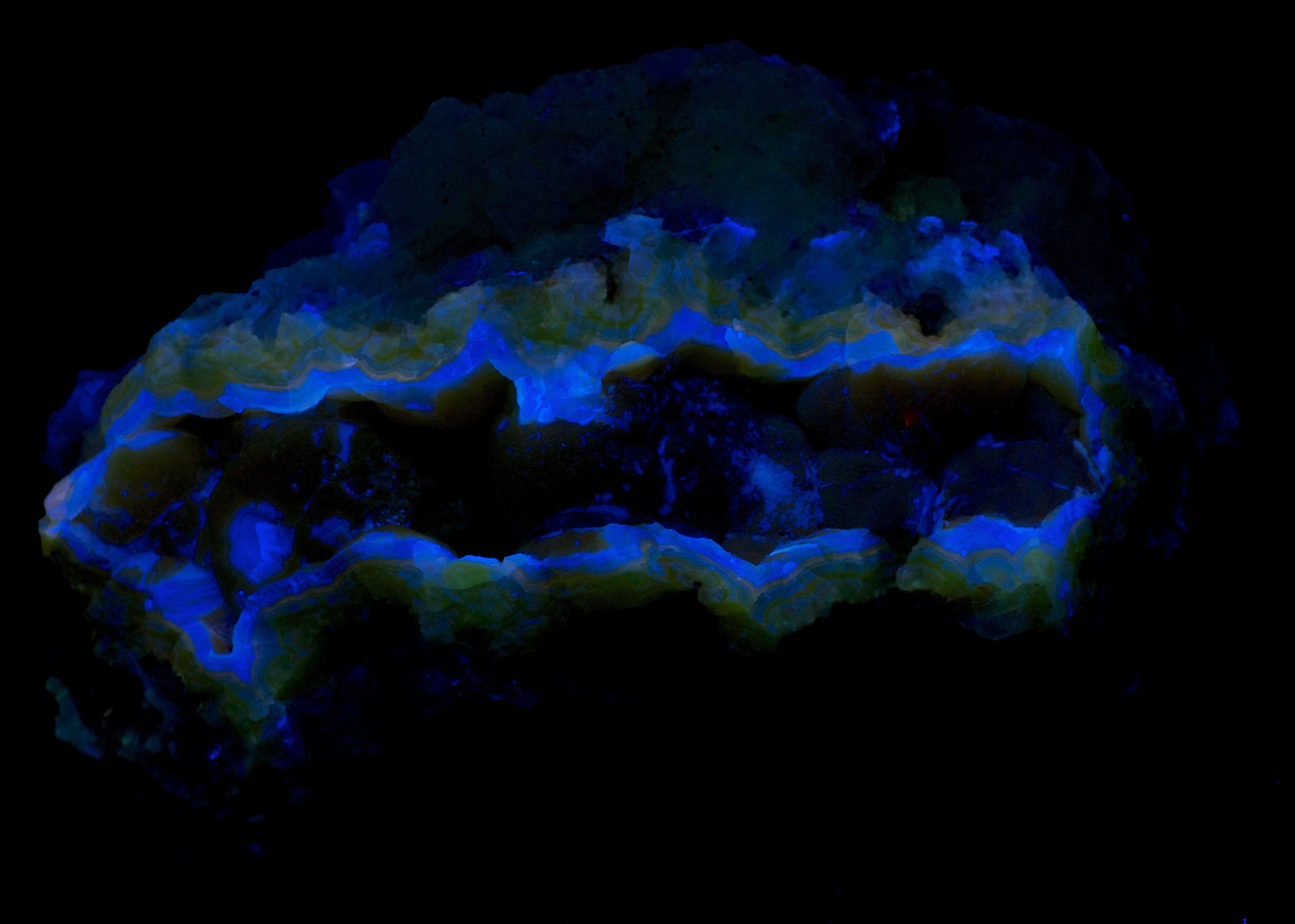 Fluorescence under midwave UV light.