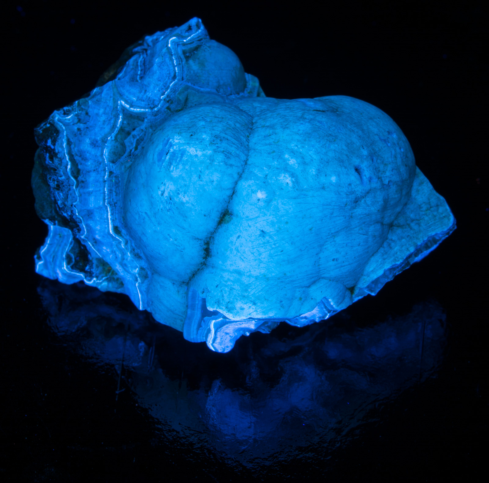 Fluorescence under shortwave UV light.