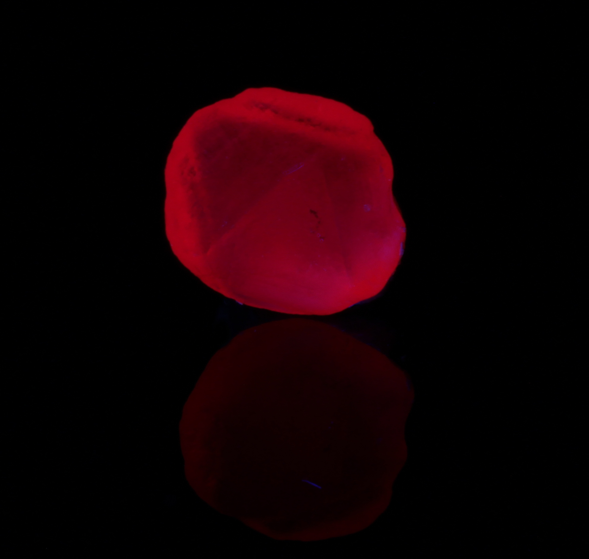 Fluorescence under longwave UV light. 365nm LED