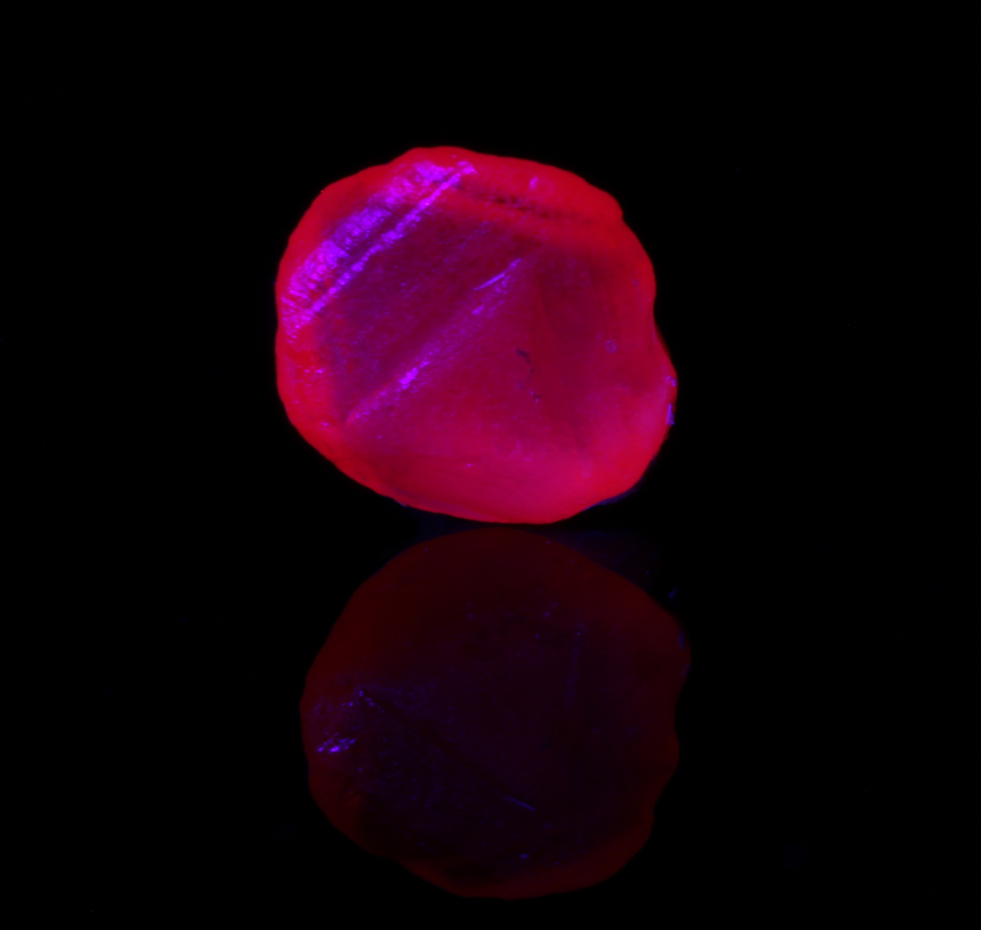Fluorescence under longwave UV light. 395nm LED