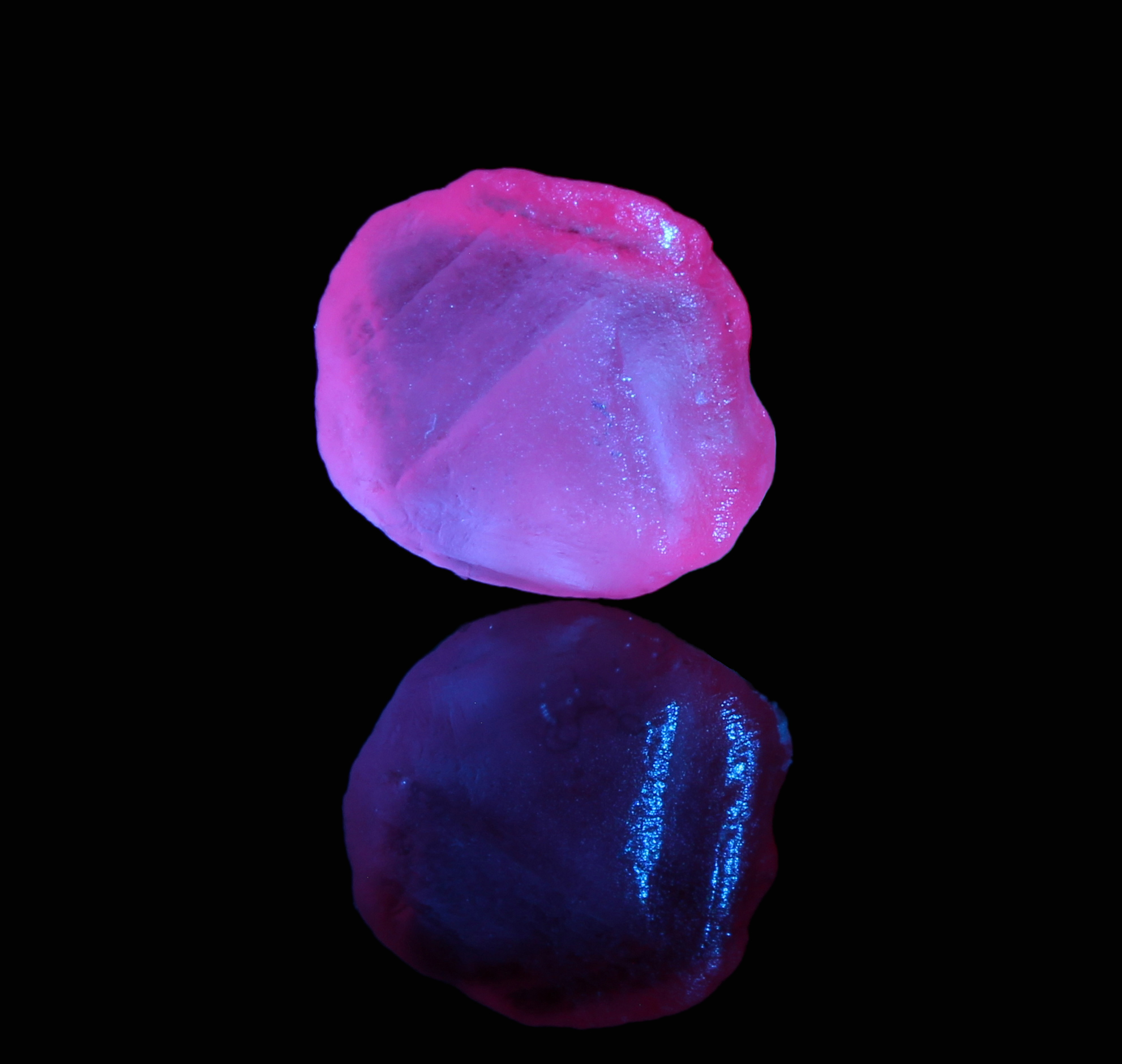 Fluorescence under blue (450nm) LED light.