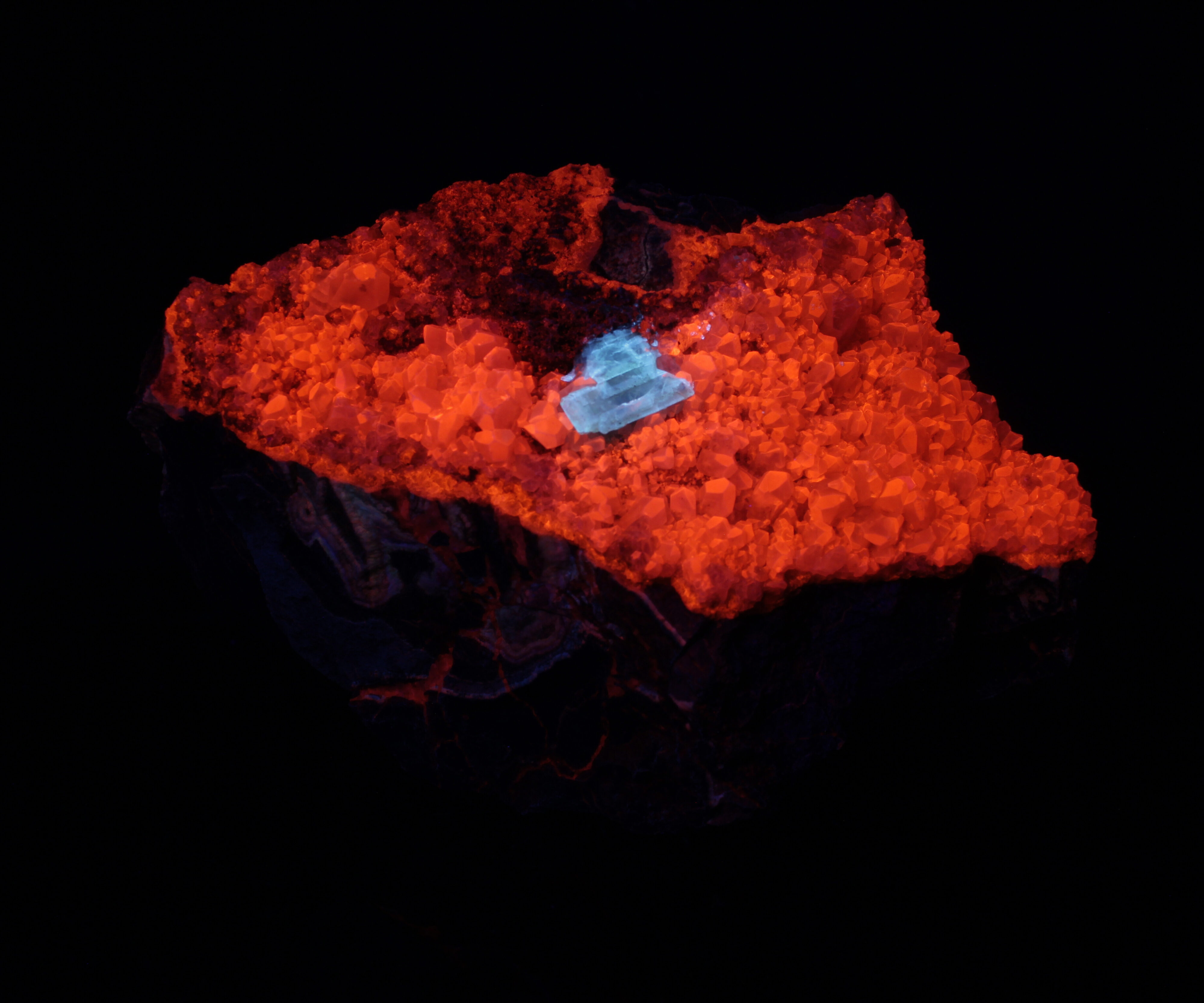 Fluorescence under midwave and shortwave UV light.