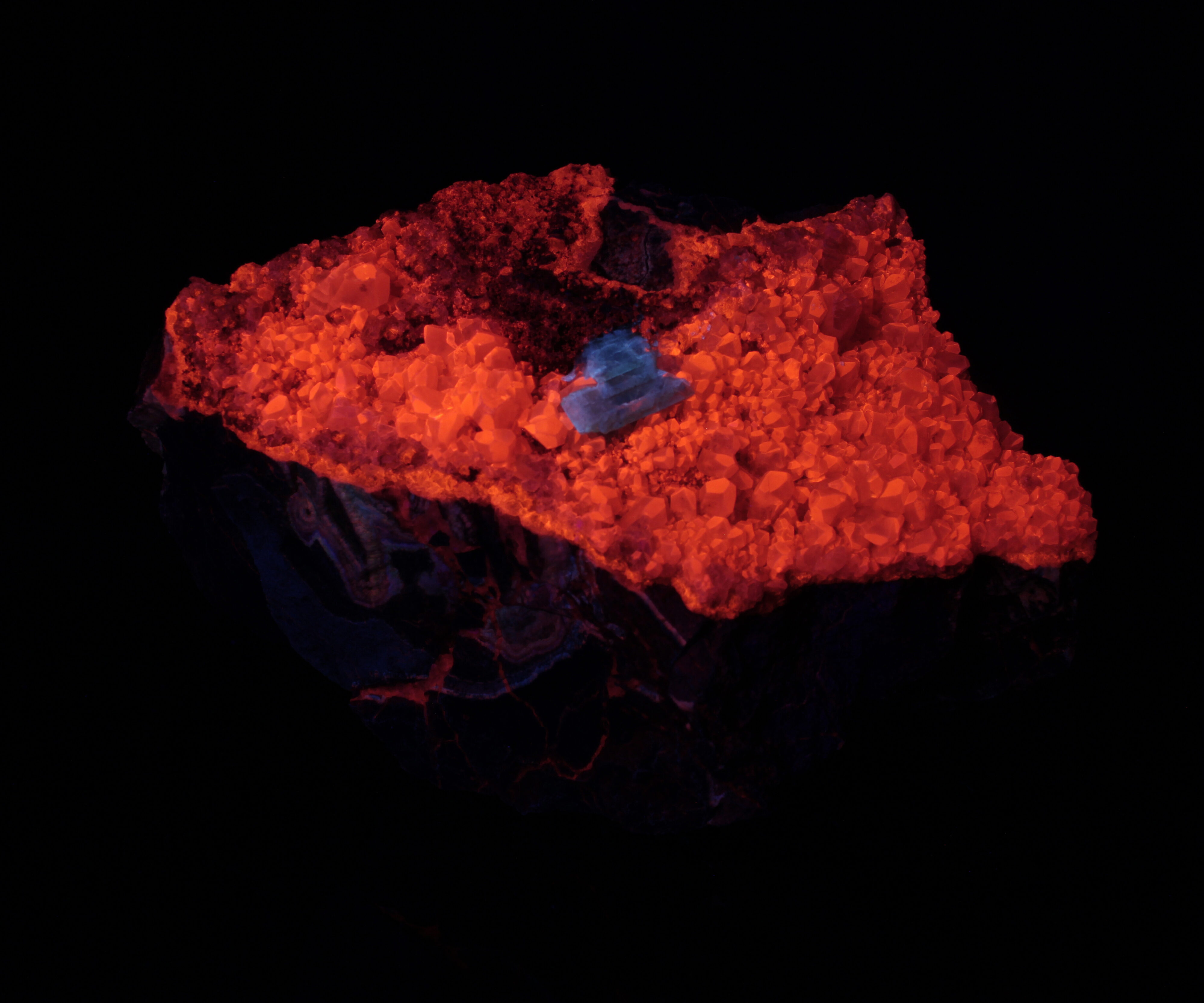 Fluorescence under shortwave UV light.