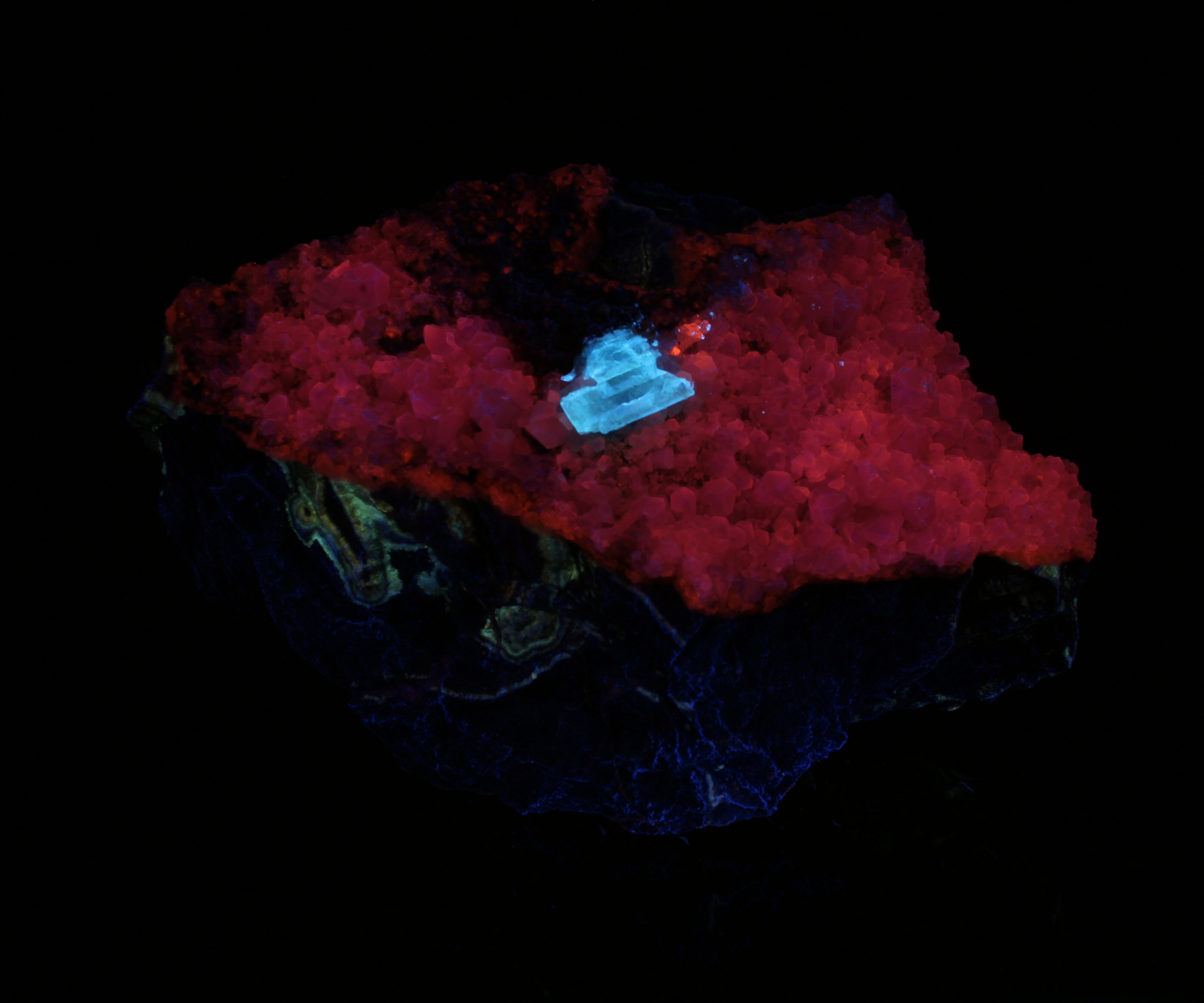Fluorescence under midwave UV light.