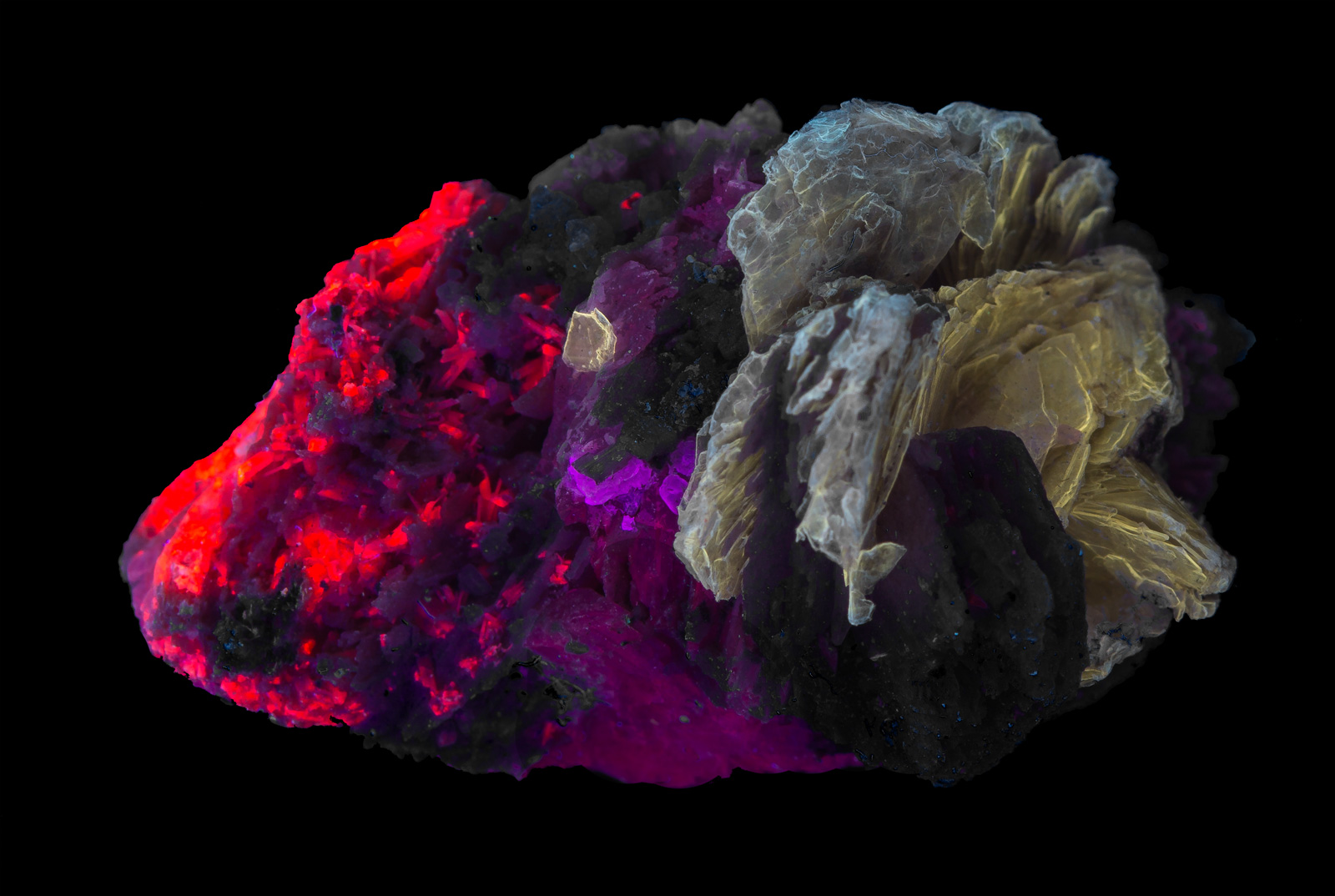 Fluorescence under midwave and shortwave UV light.