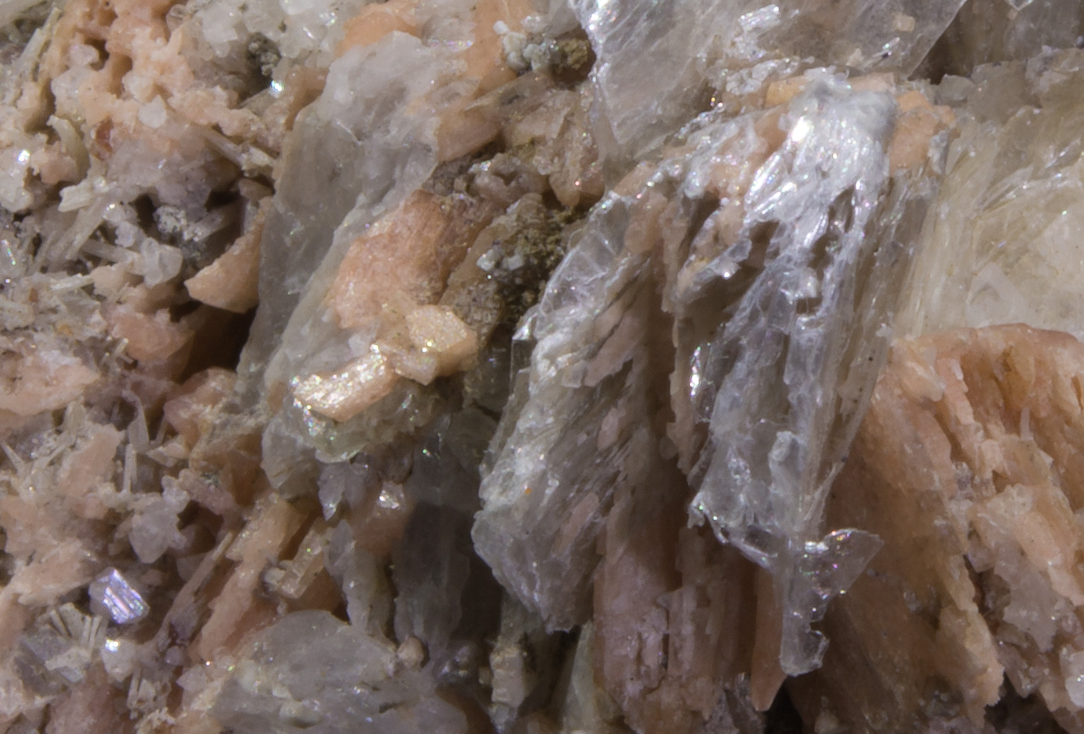 Normal light. Closeup