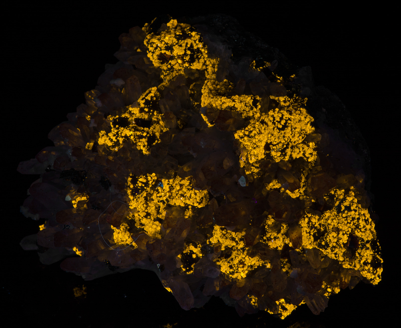 Fluorescence under longwave UV light.