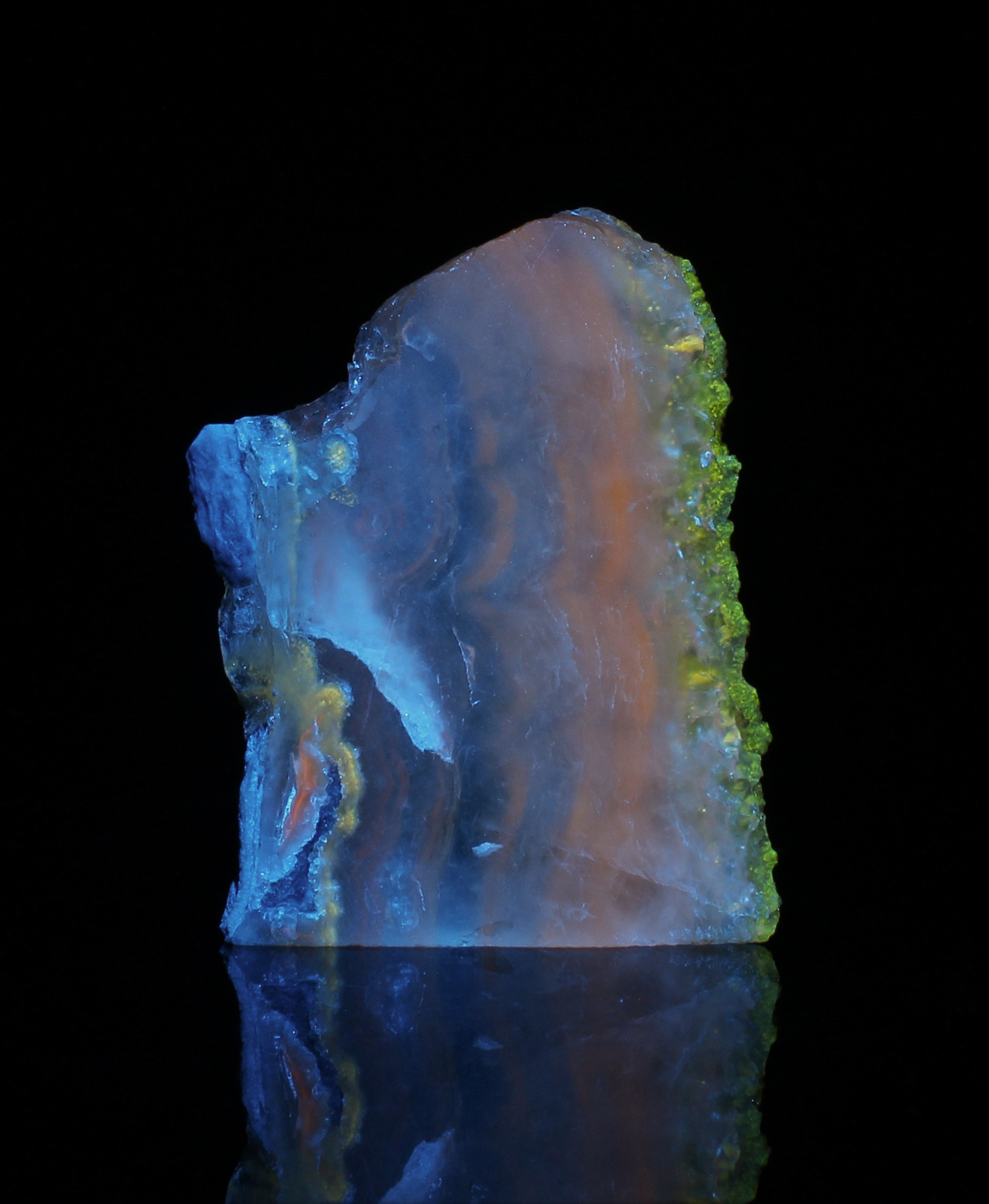 Fluorescence under blue (450nm) LED light.