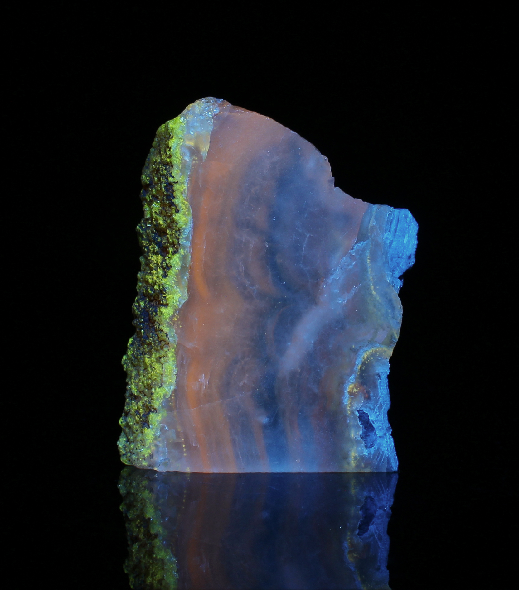 Fluorescence under blue (450nm) LED light. Side 2.