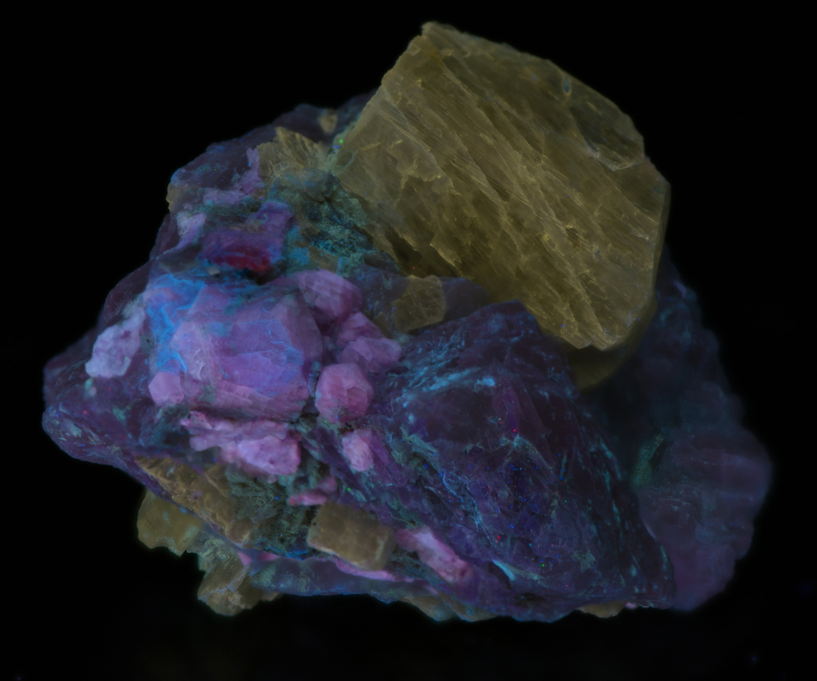 Fluorescence under shortwave UV light.