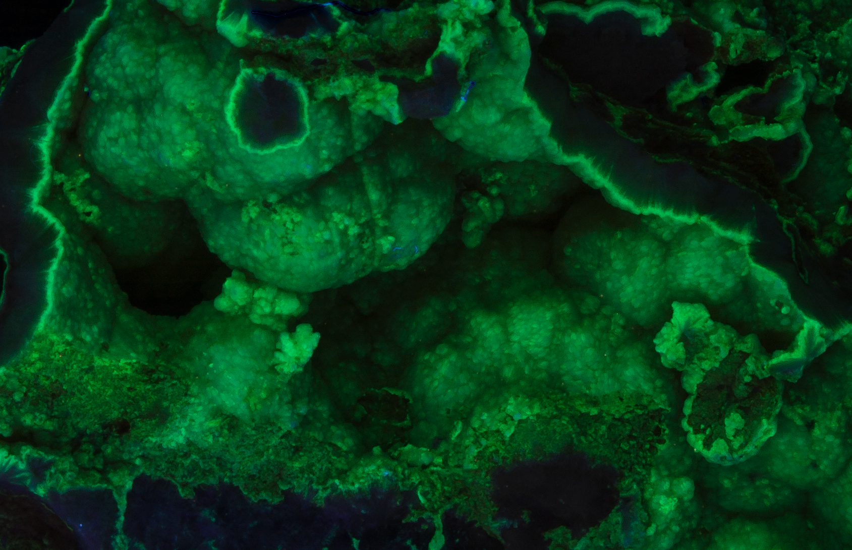 Fluorescence under shortwave UV light. Closeup