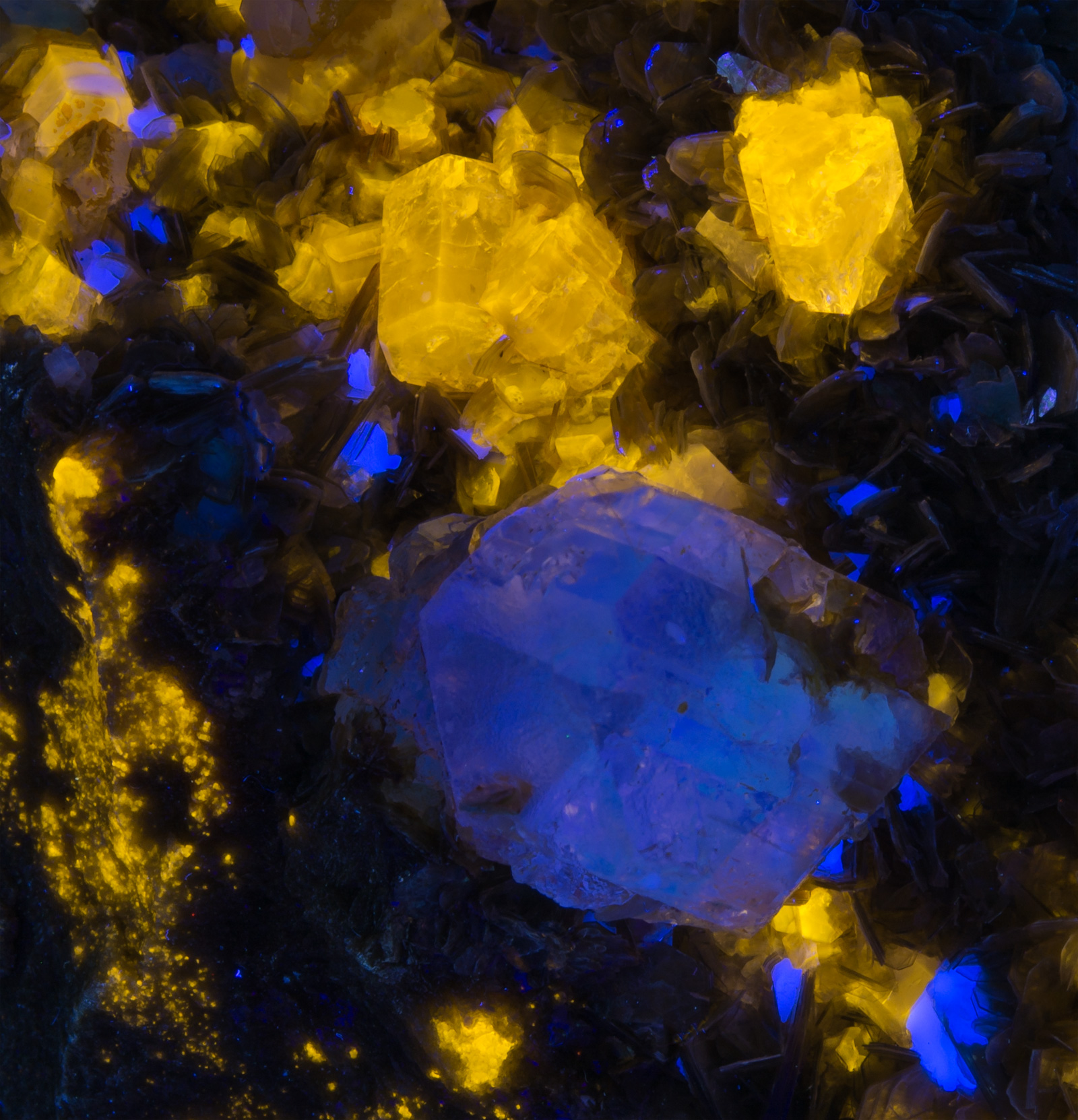 Fluorescence under longwave and shortwave UV light. Closeup