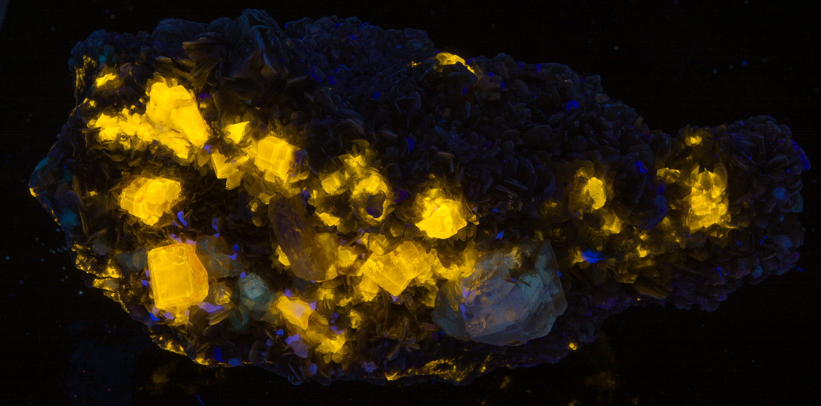 Fluorescence under shortwave UV light.