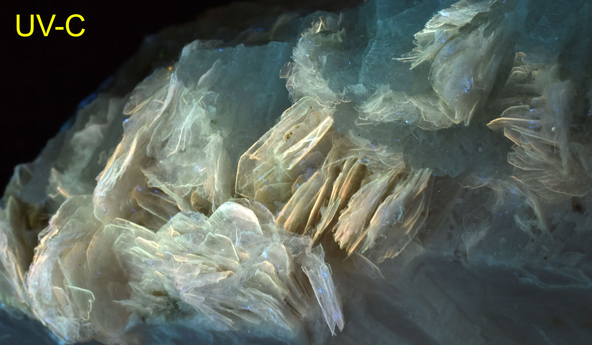 Fluorescence under shortwave UV light.