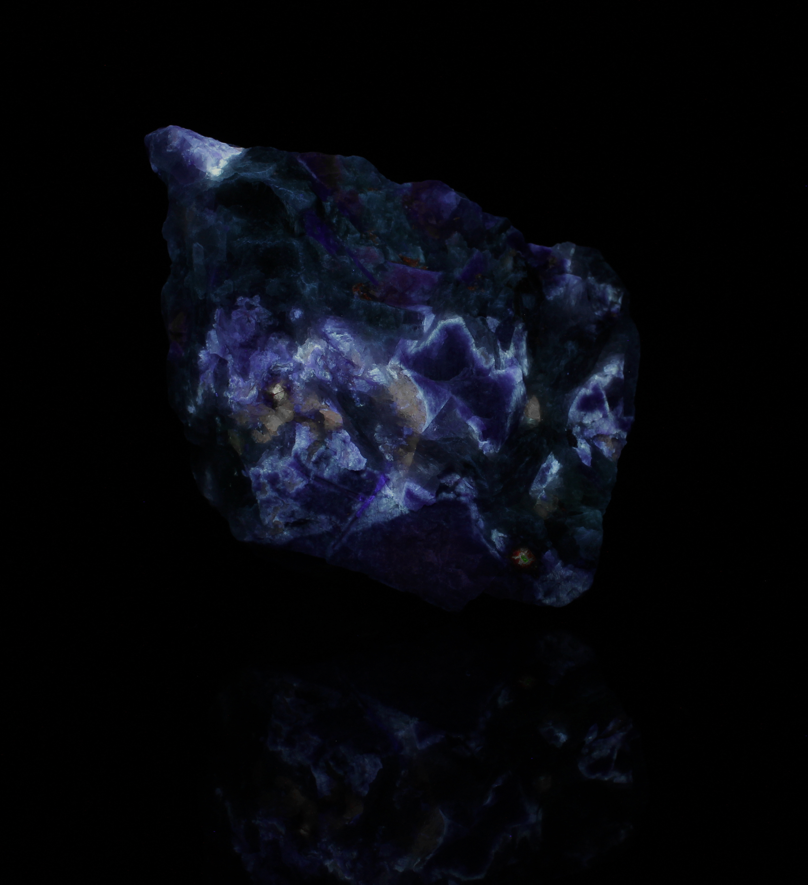 Fluorescence under midwave (310nm LED) UV light.